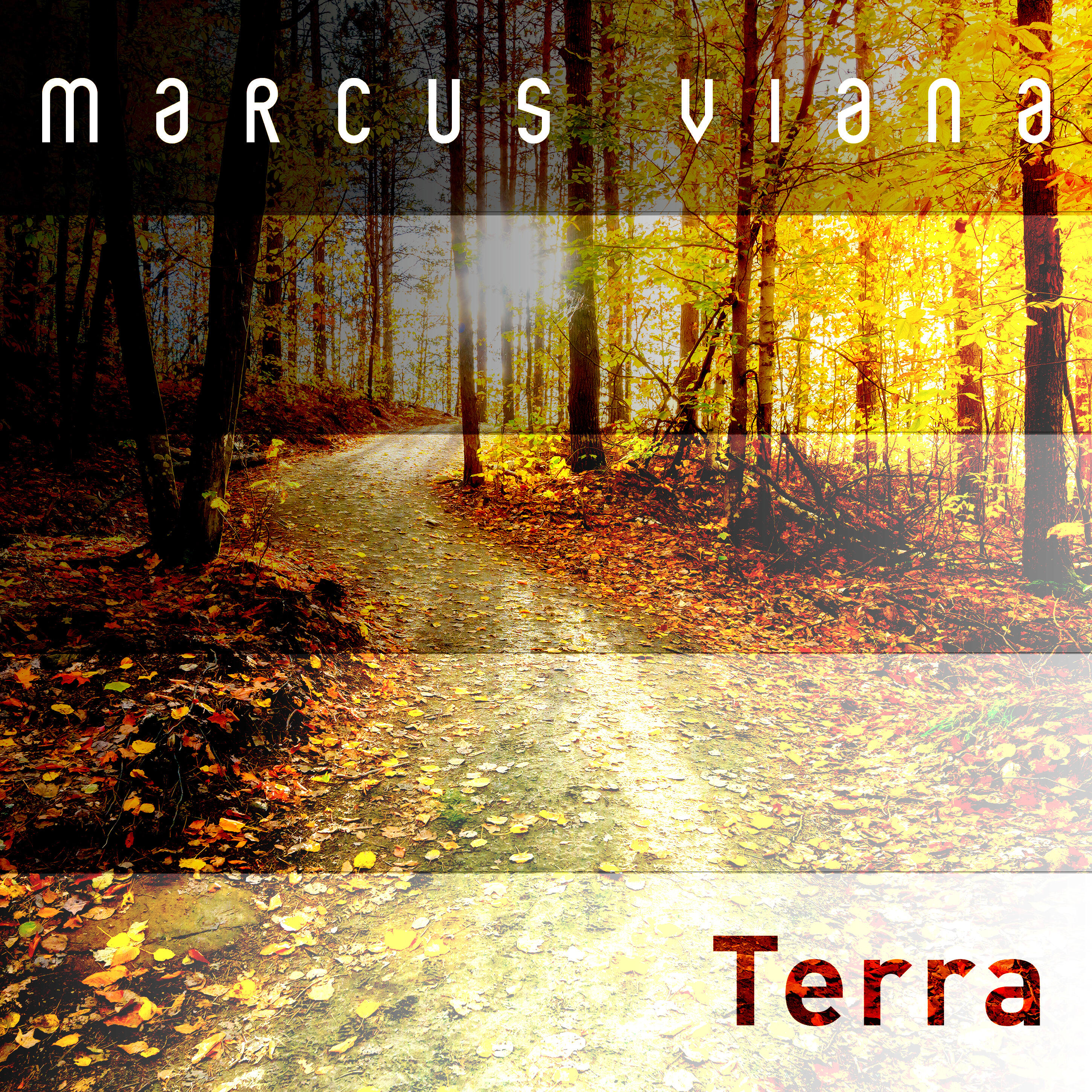 Релиз Terra