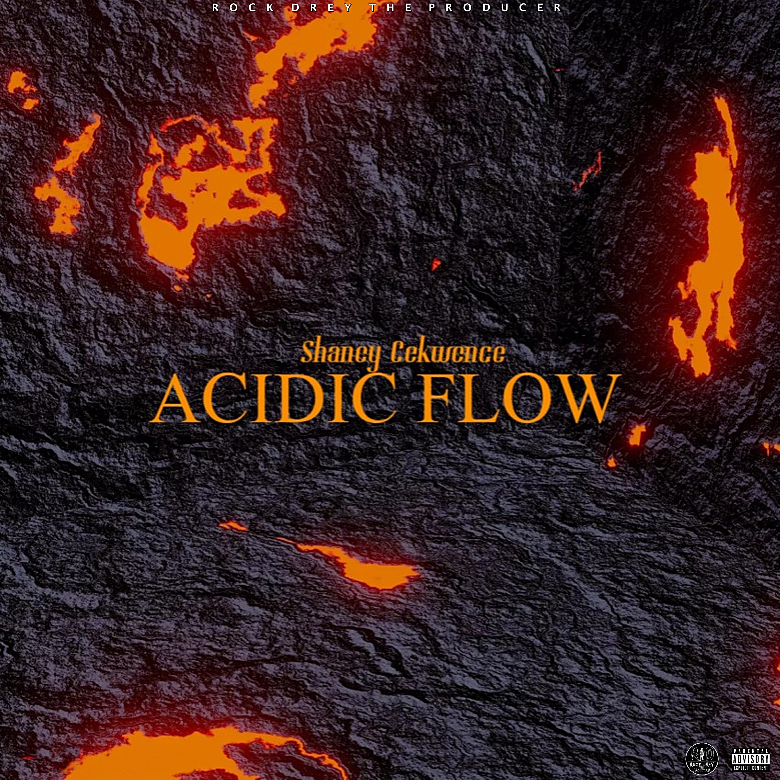 Релиз Acidic Flow
