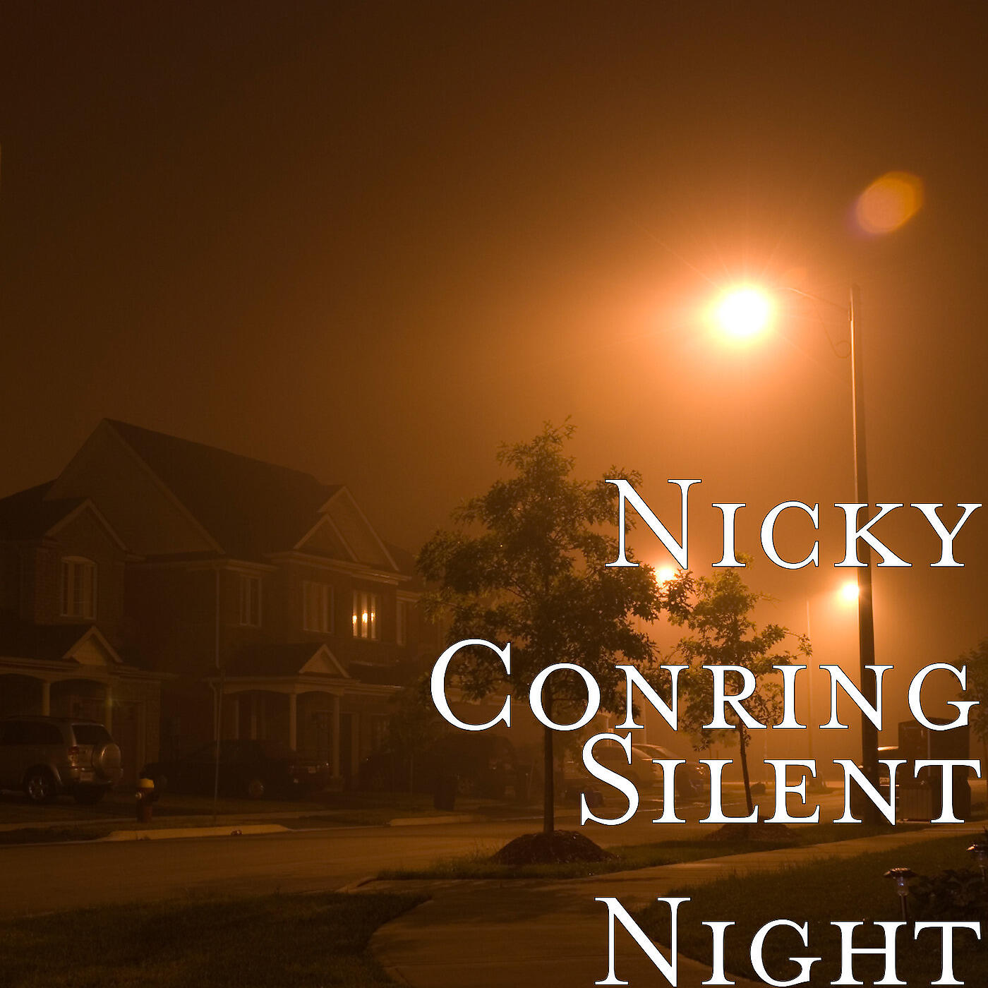 Релиз Silent Night