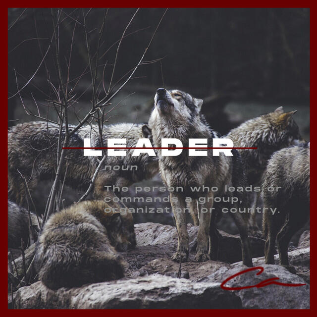 Релиз Leader