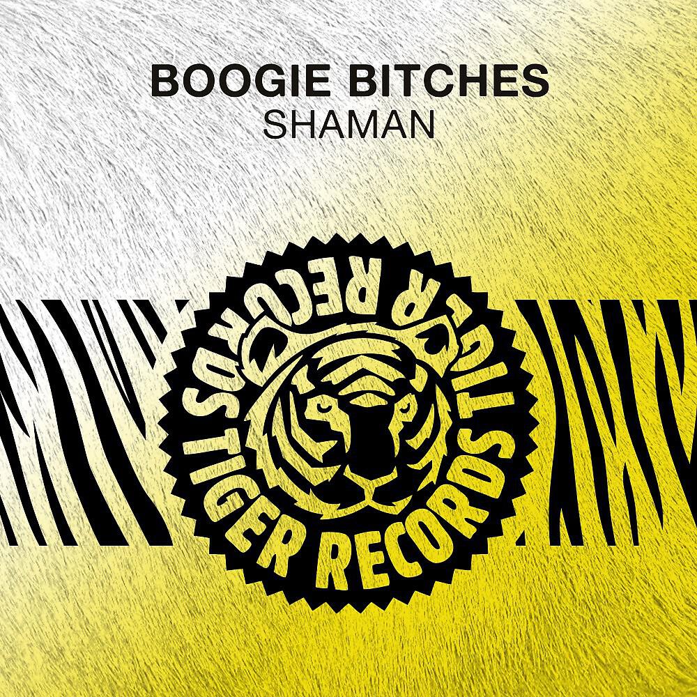 Релиз Shaman