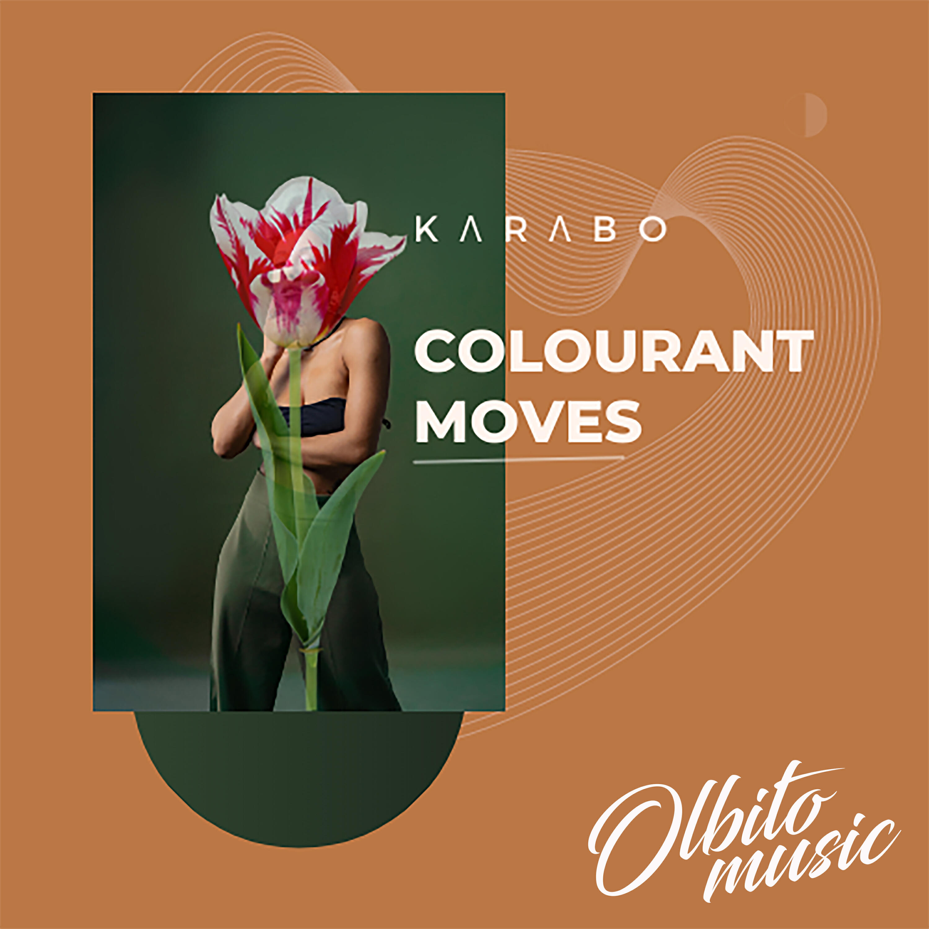 Релиз Colourant Moves (Original Mix)