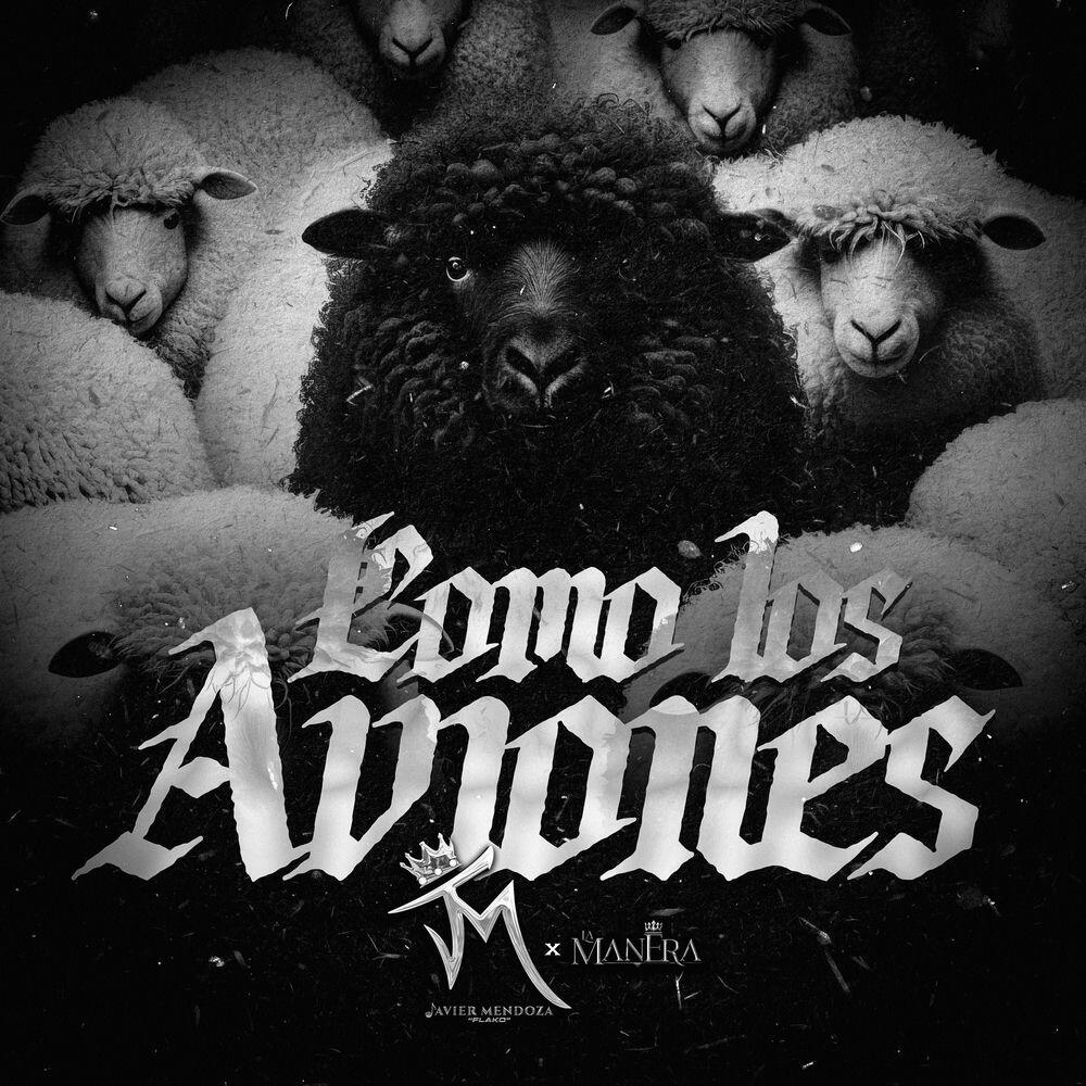 Релиз Como Los Aviones