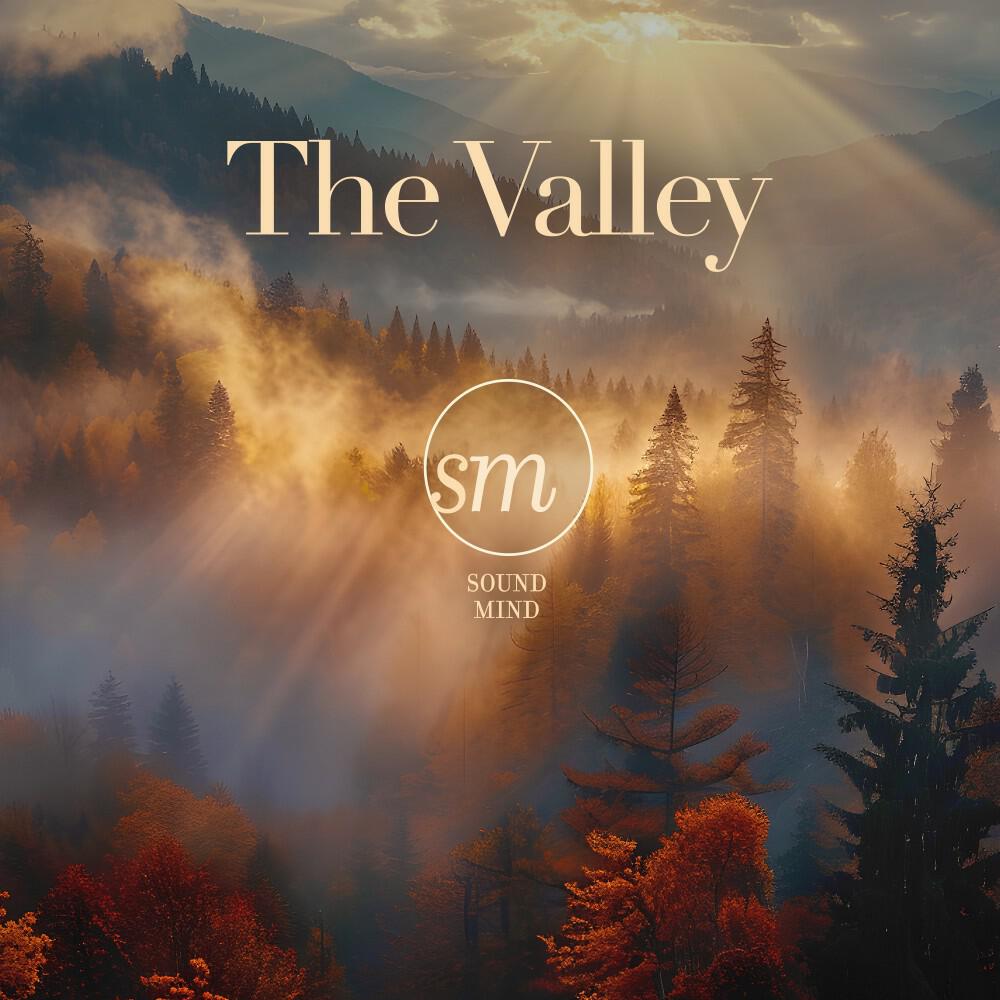 Релиз The Valley
