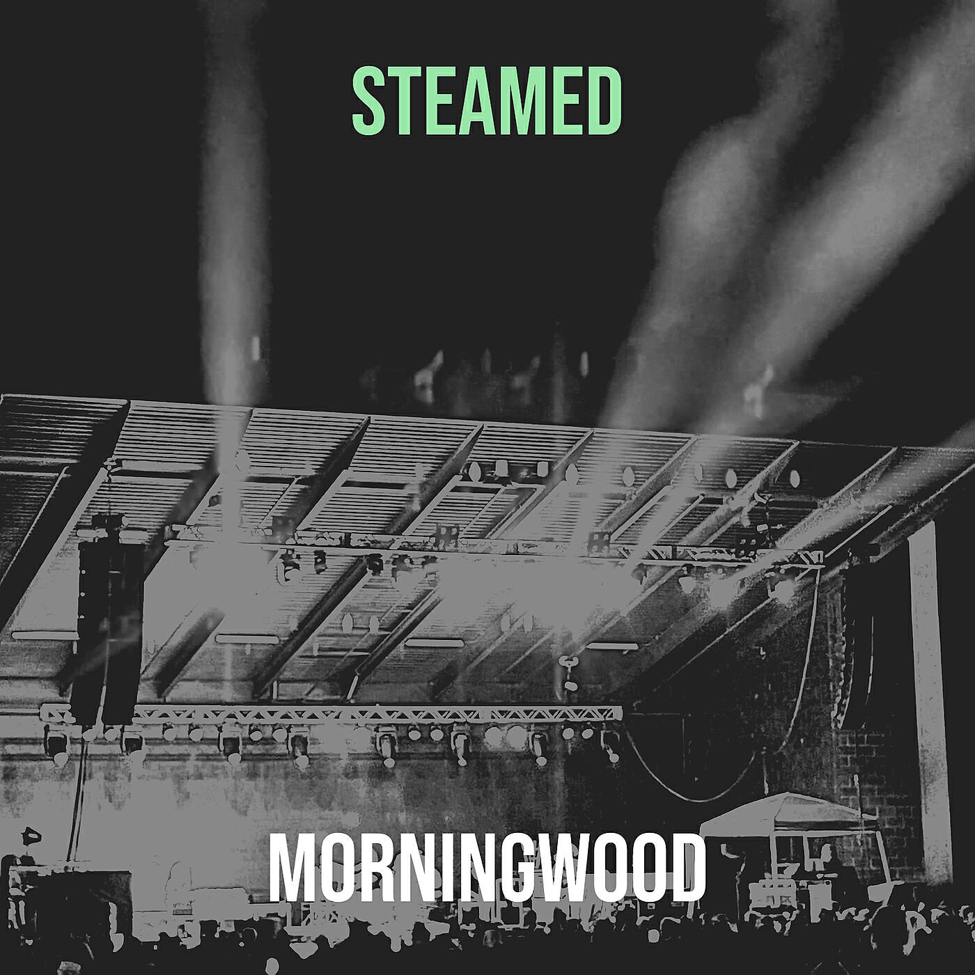 Релиз Steamed