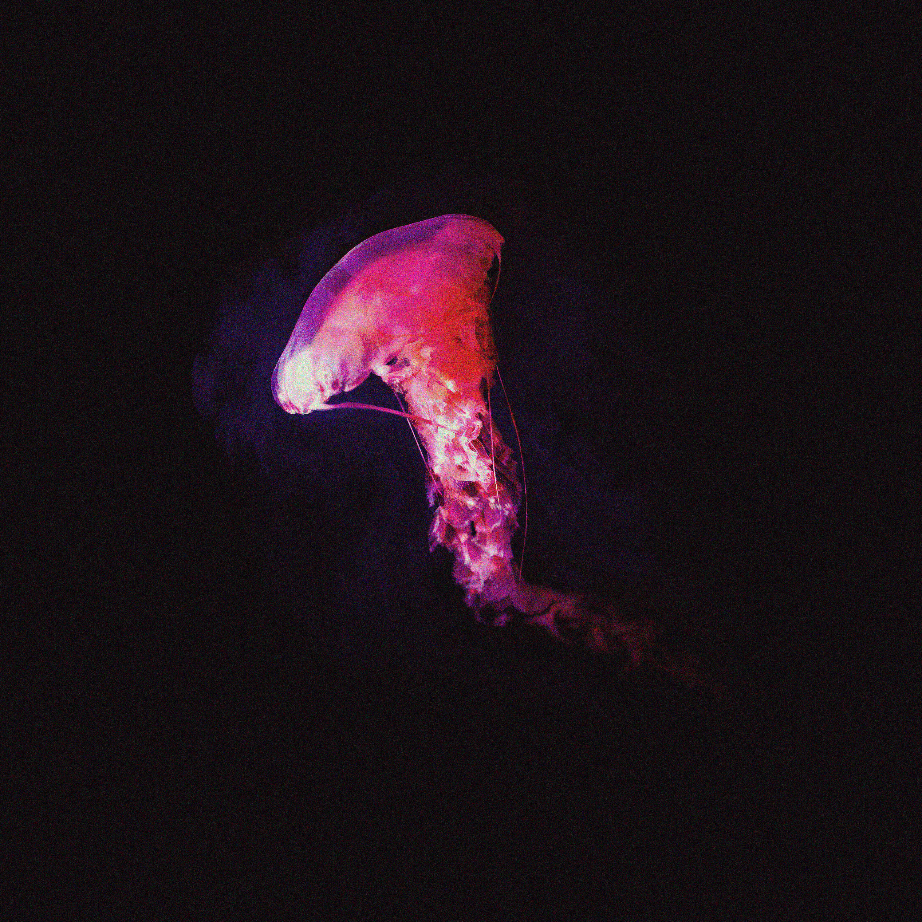 Релиз Solace