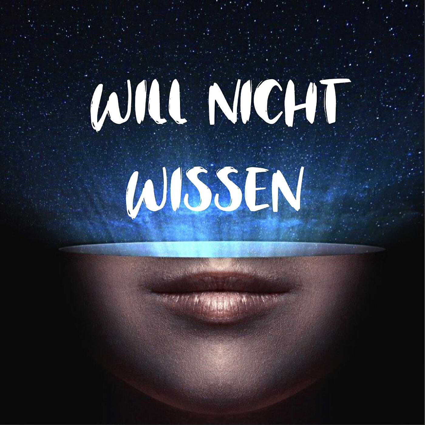 Релиз Will Nicht Wissen