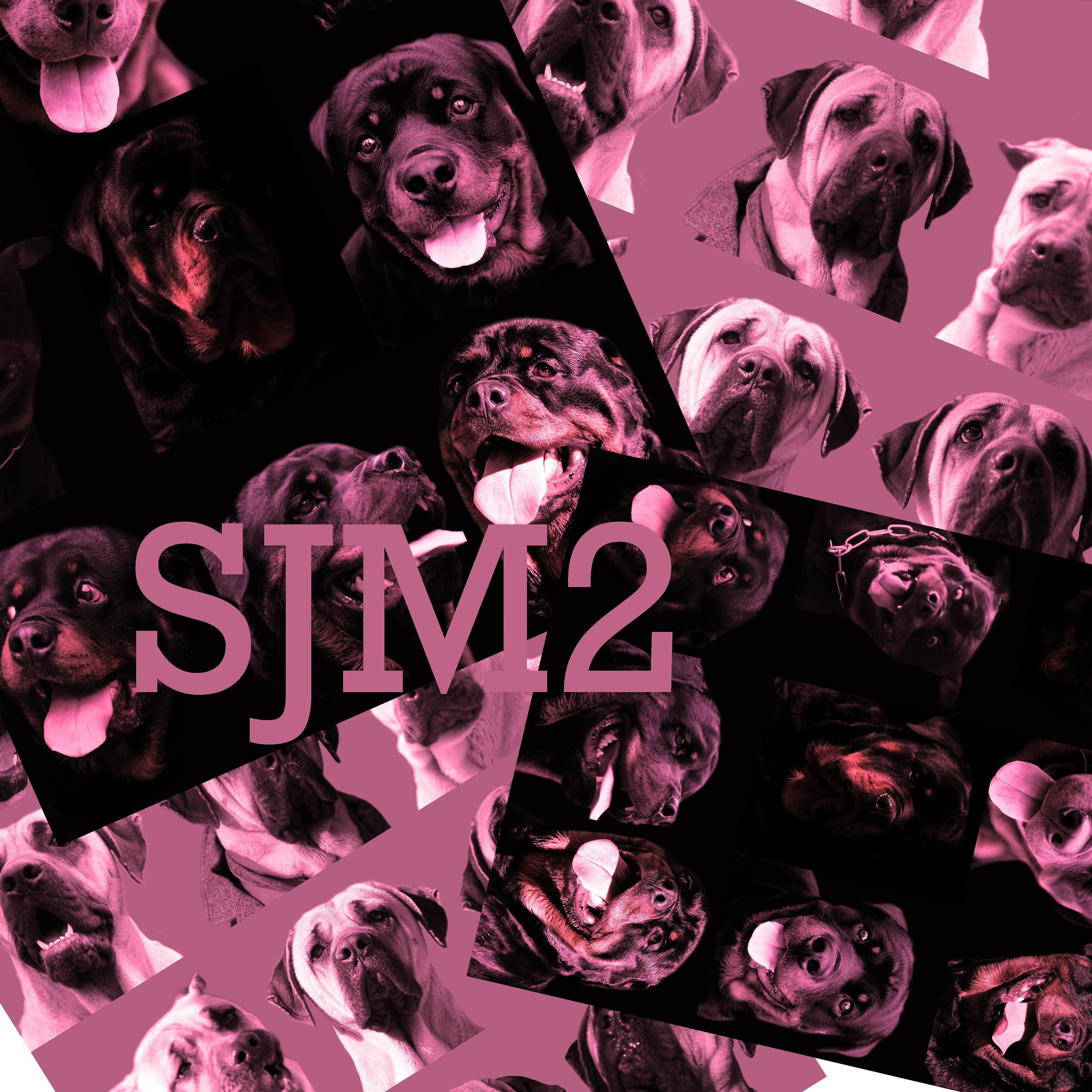 Релиз SJM2