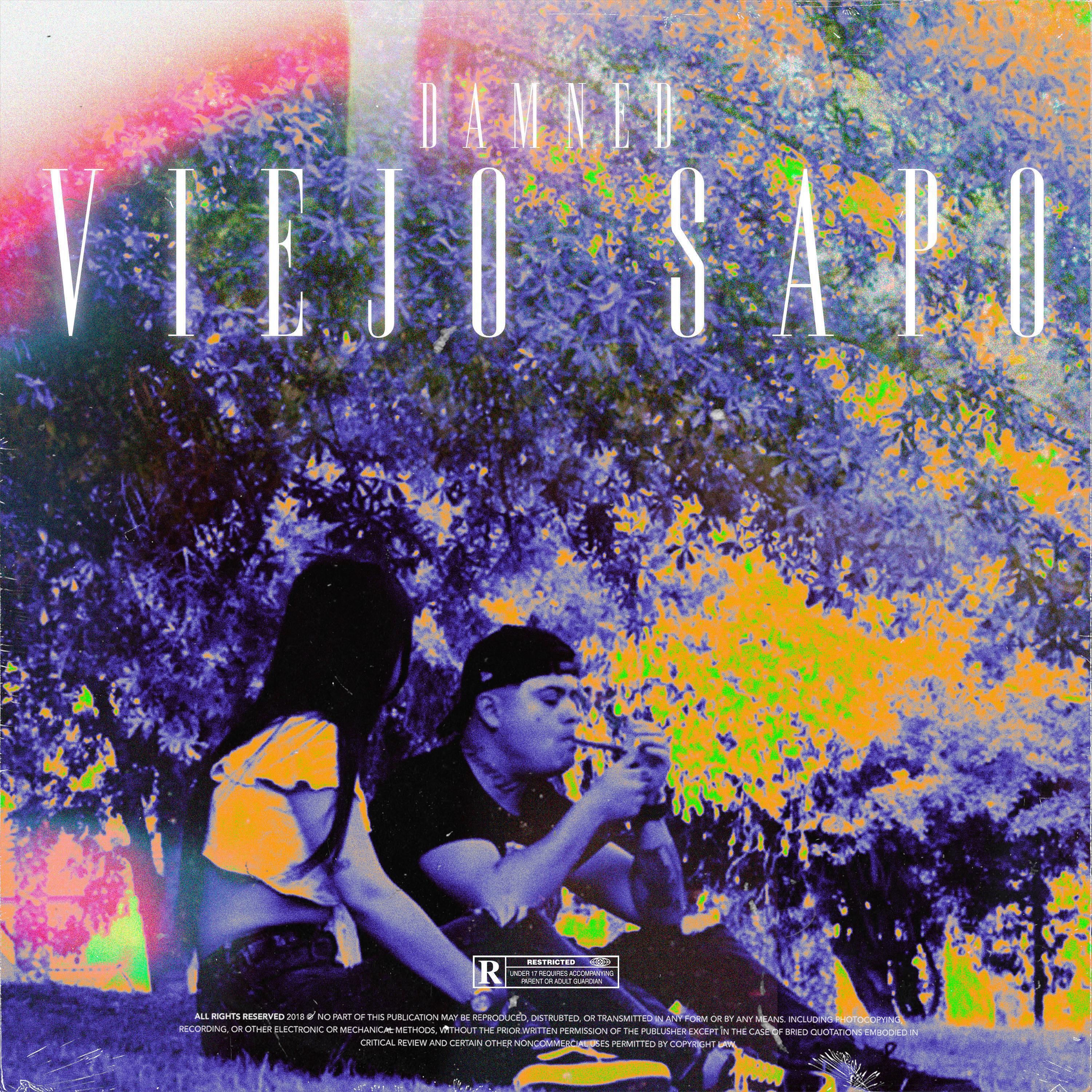 Релиз Viejo Sapo