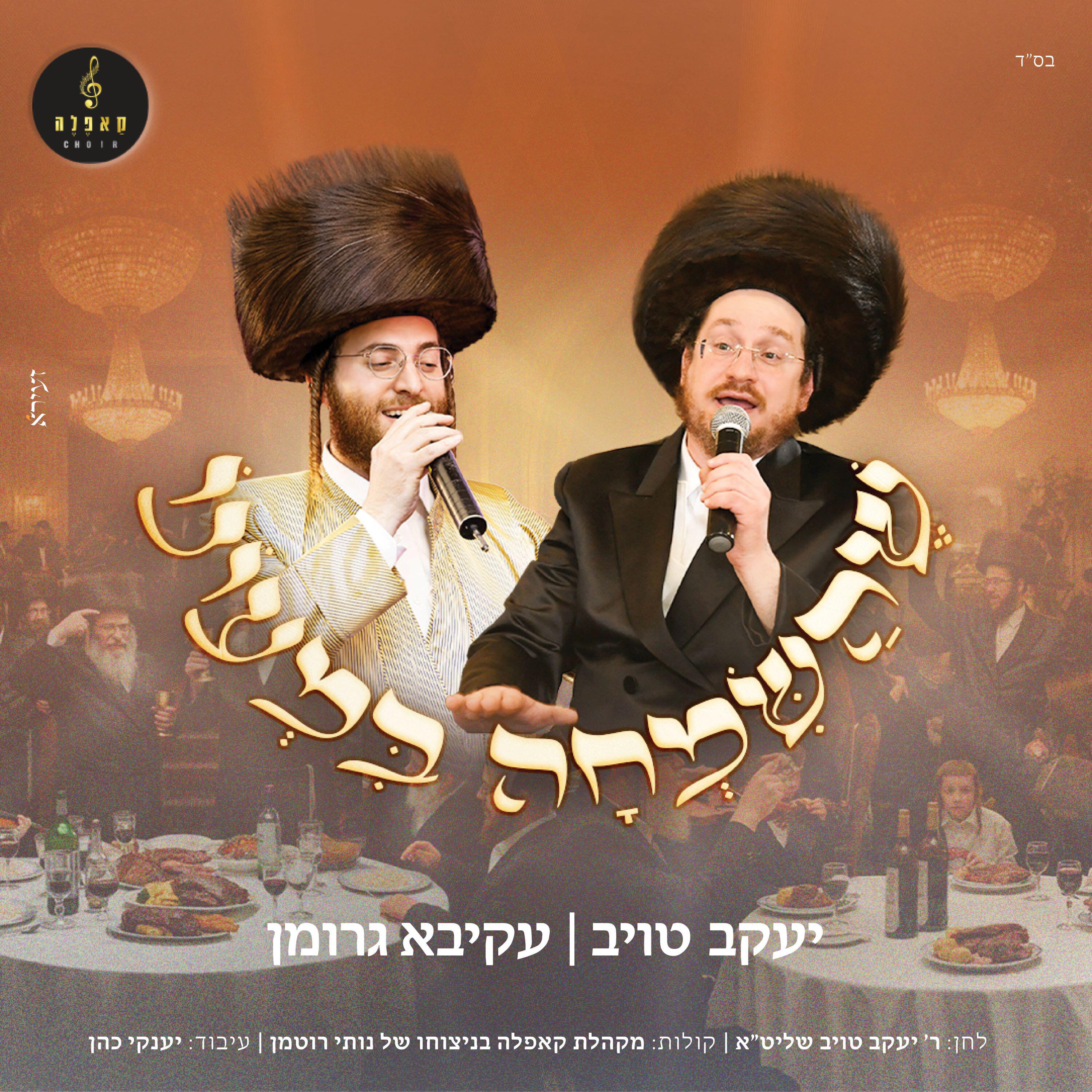 יעקב טויב