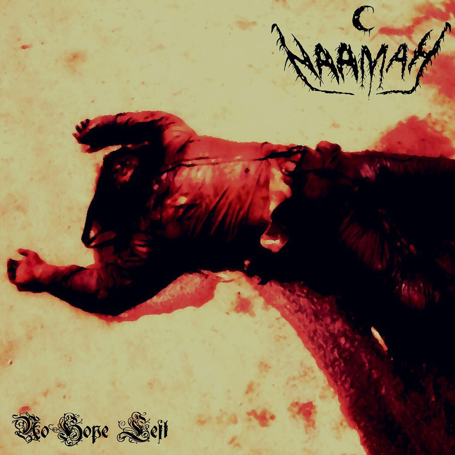 Релиз No Hope Left