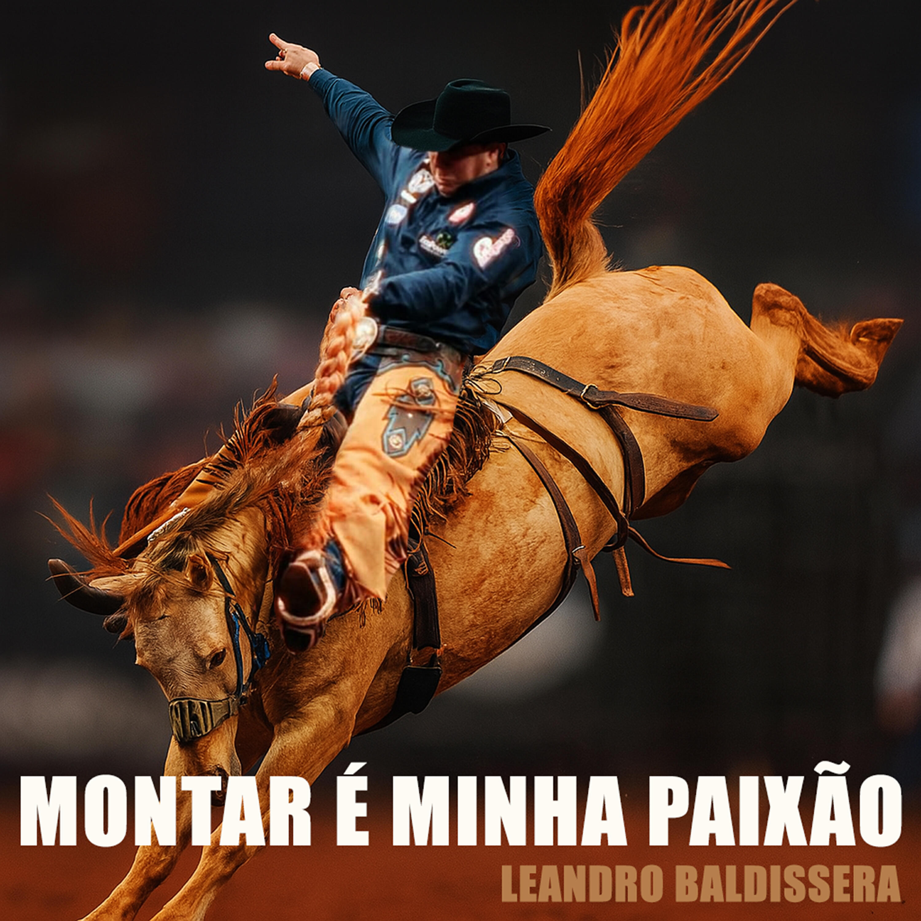 Релиз Montar É Minha Paixão