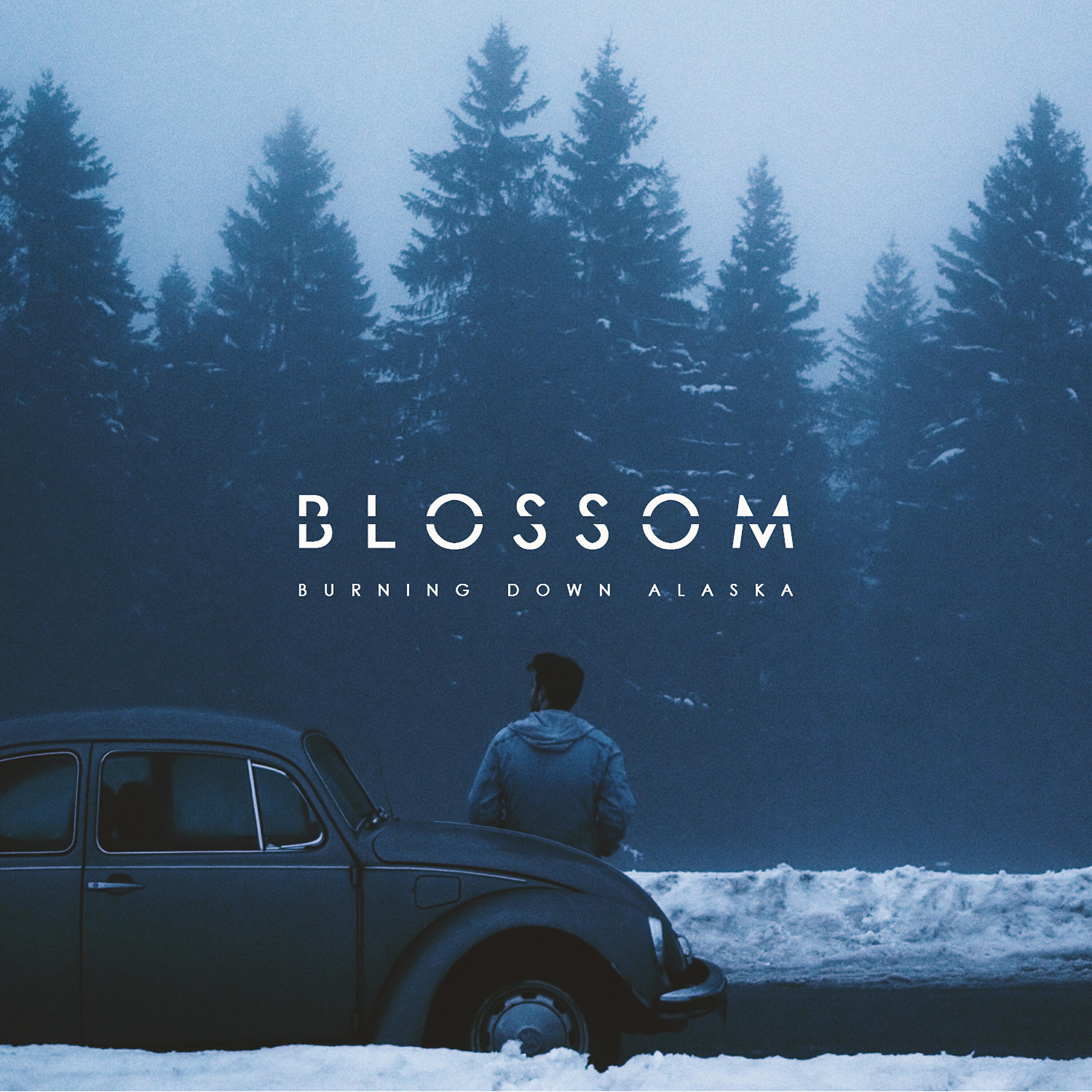Релиз Blossom