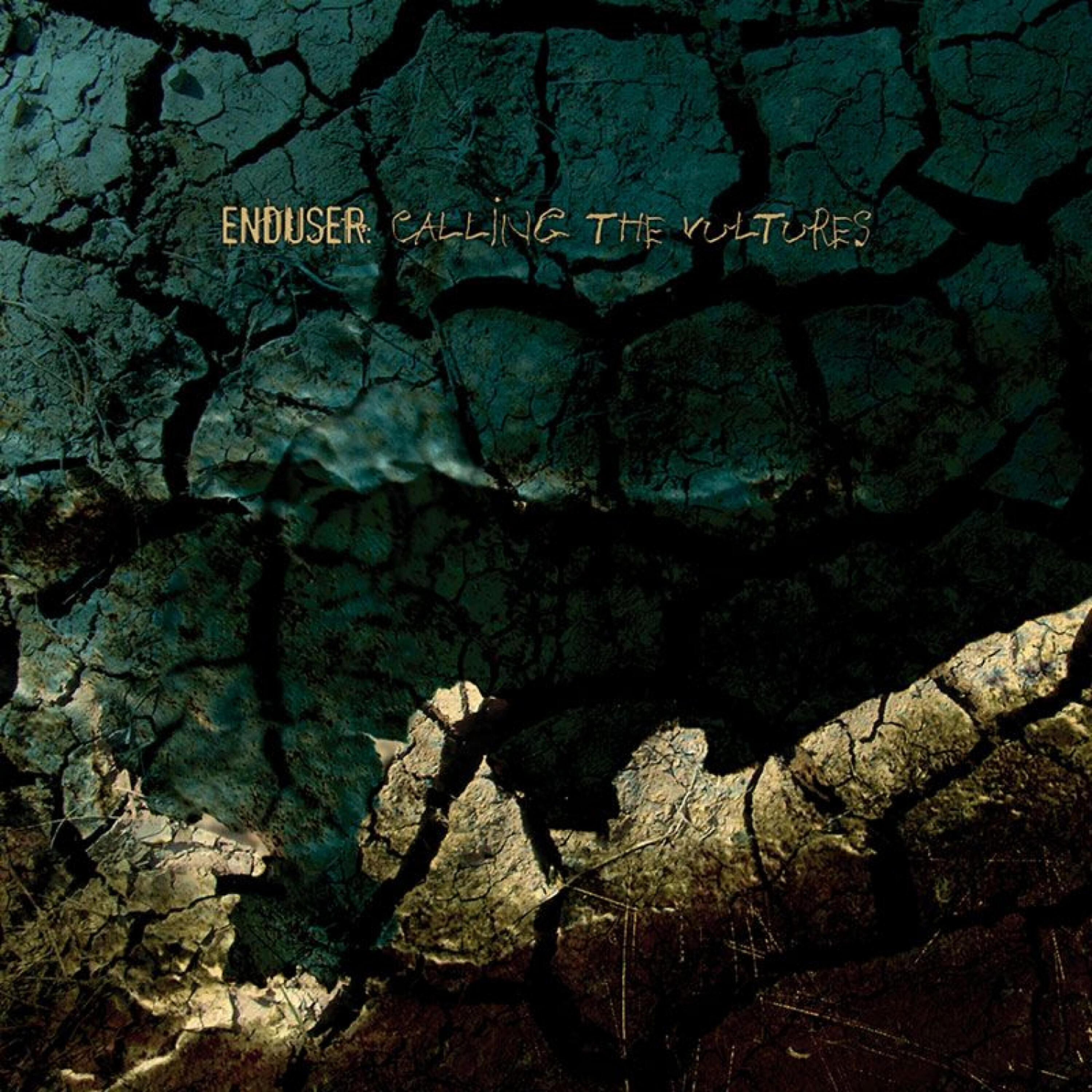 Релиз Calling the Vultures
