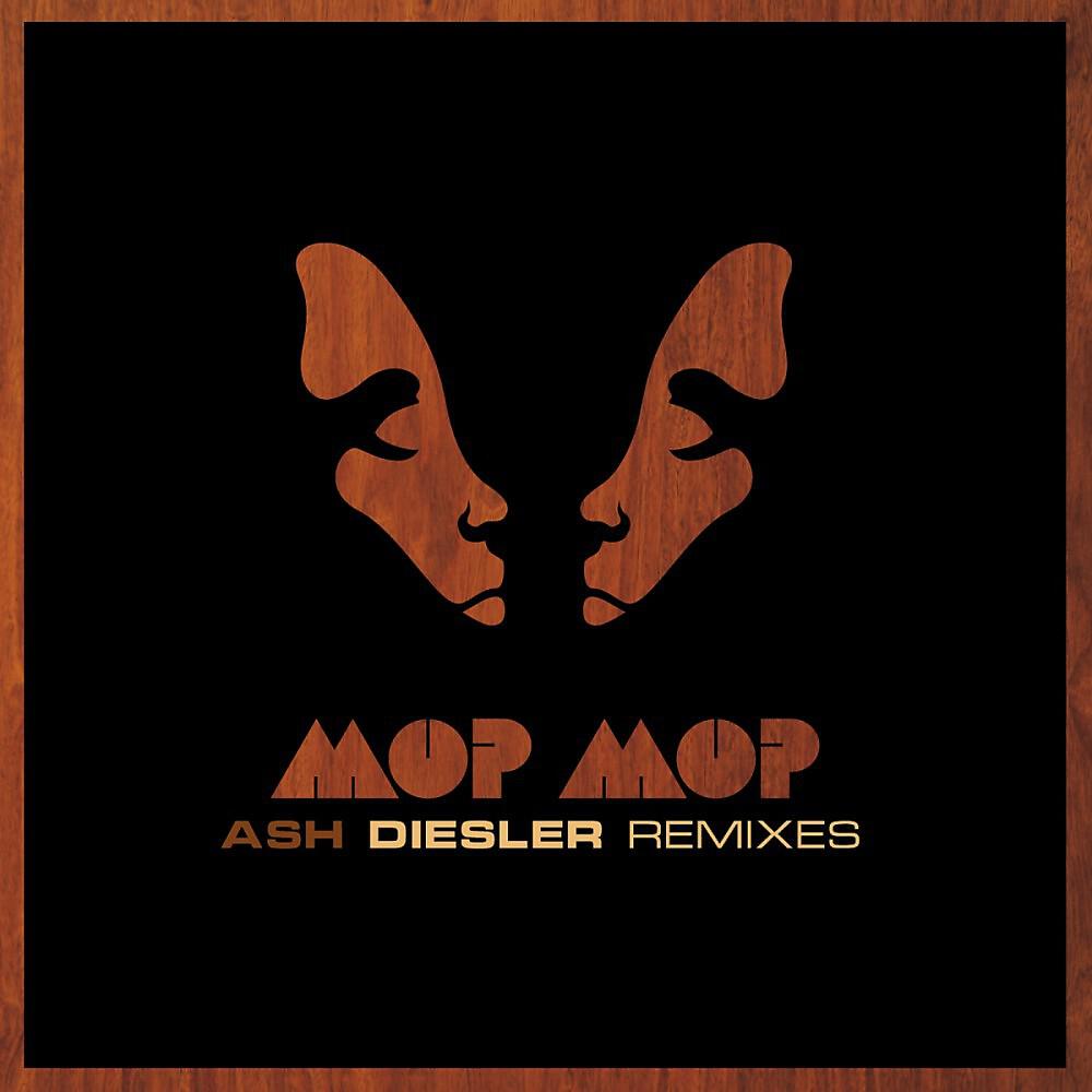 Постер альбома Ash (Diesler Remixes)