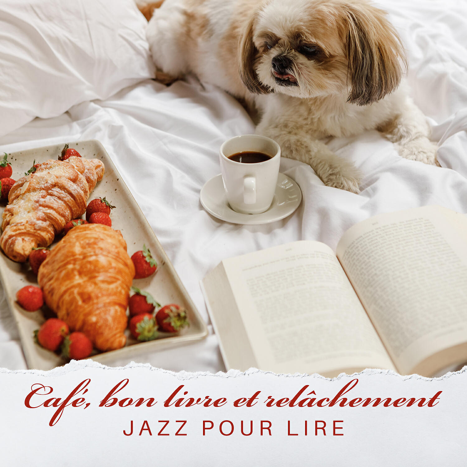 Релиз Café, bon livre et relâchement: Jazz pour lire
