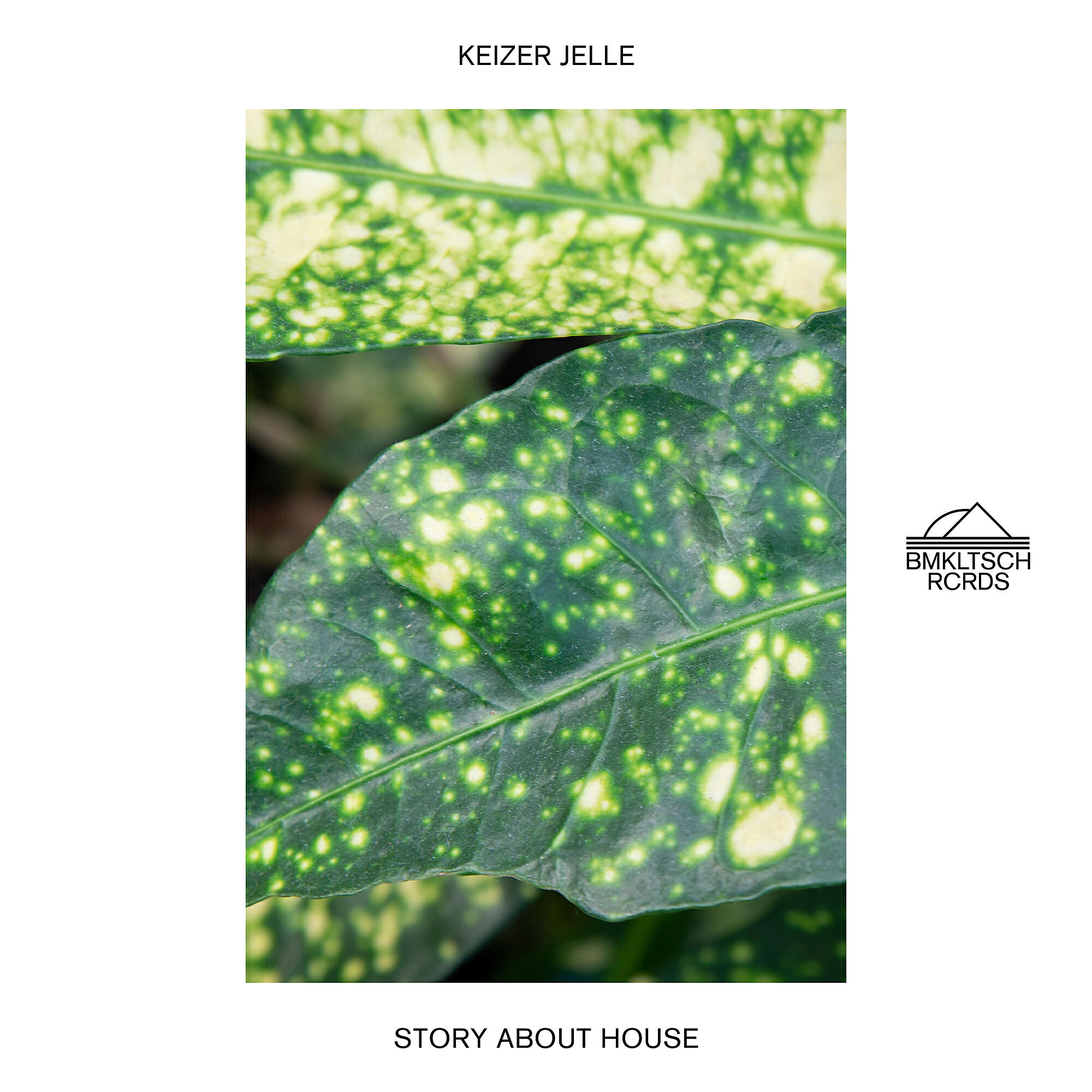 Релиз Story About House