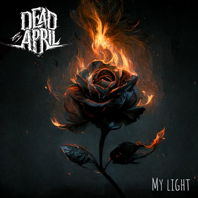 Релиз My Light