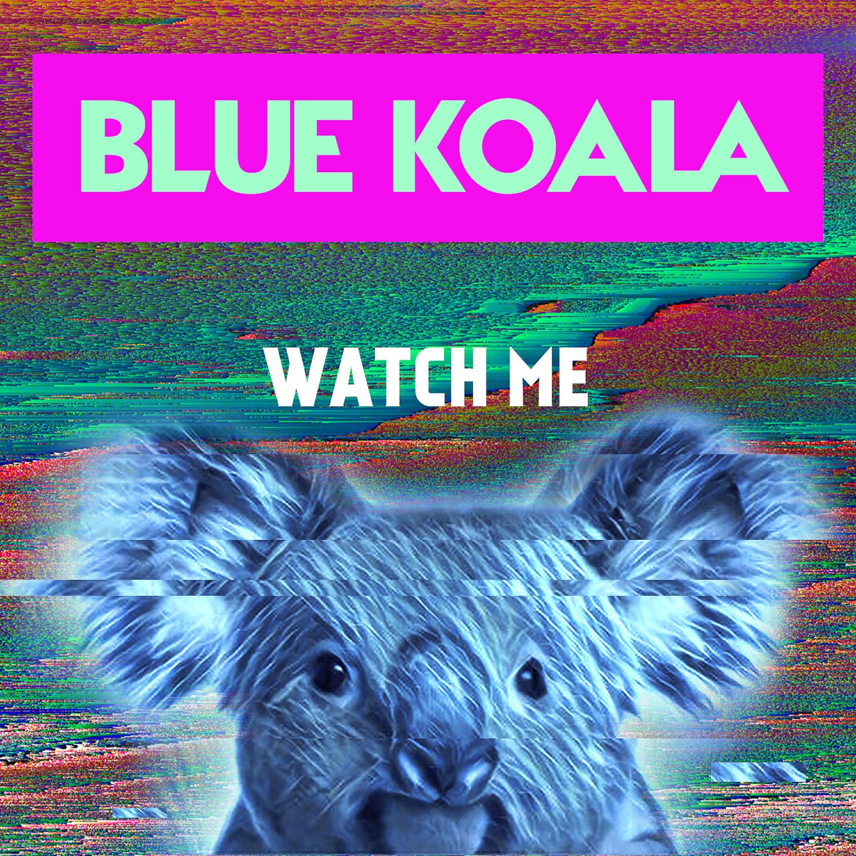 Blue Koala