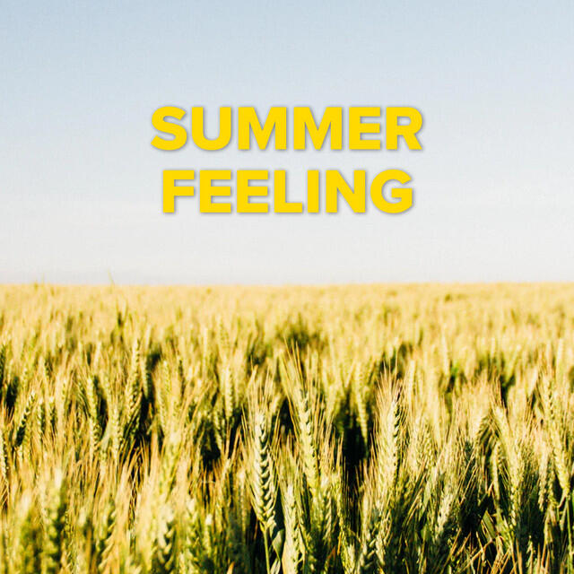 Постер альбома Summer Feeling