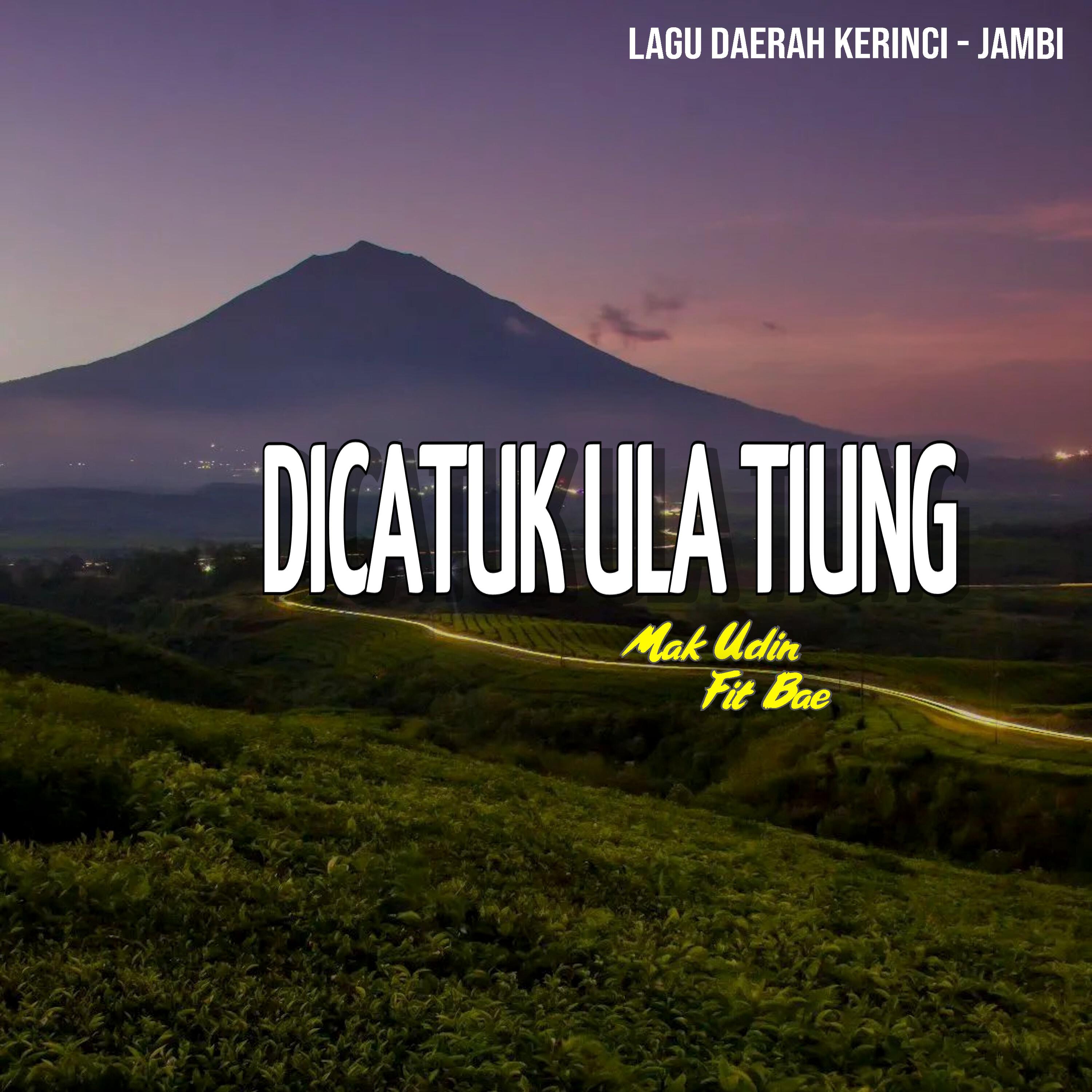 Постер альбома Dicatuk Ula Tiung
