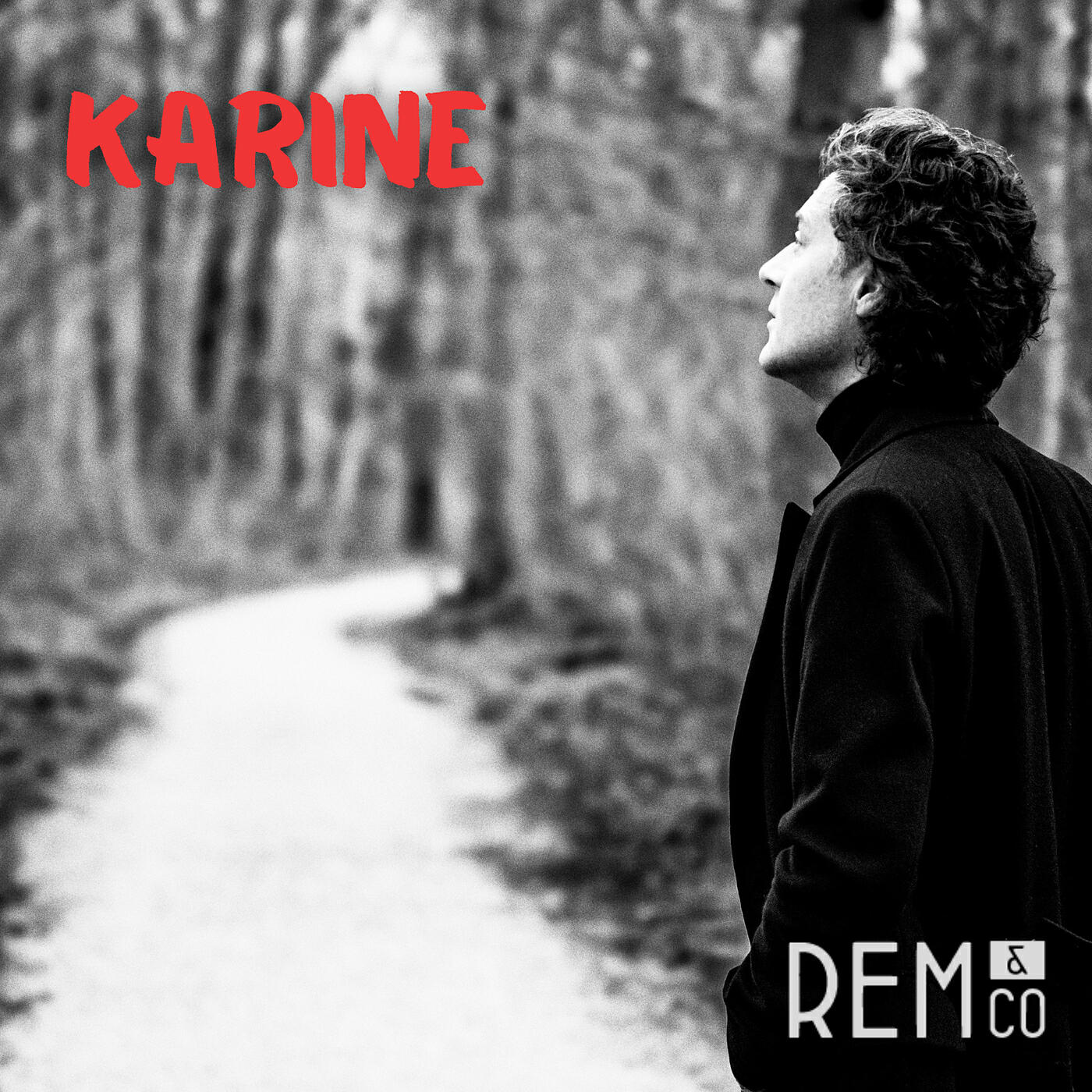 Релиз Karine