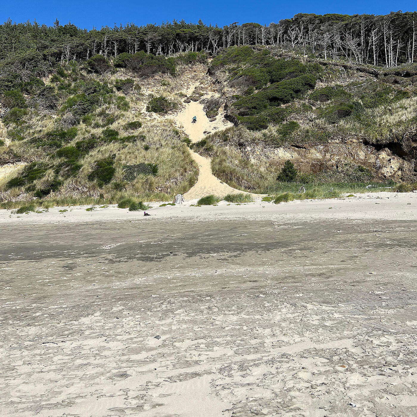 Релиз I Cut My Leg at the Beach