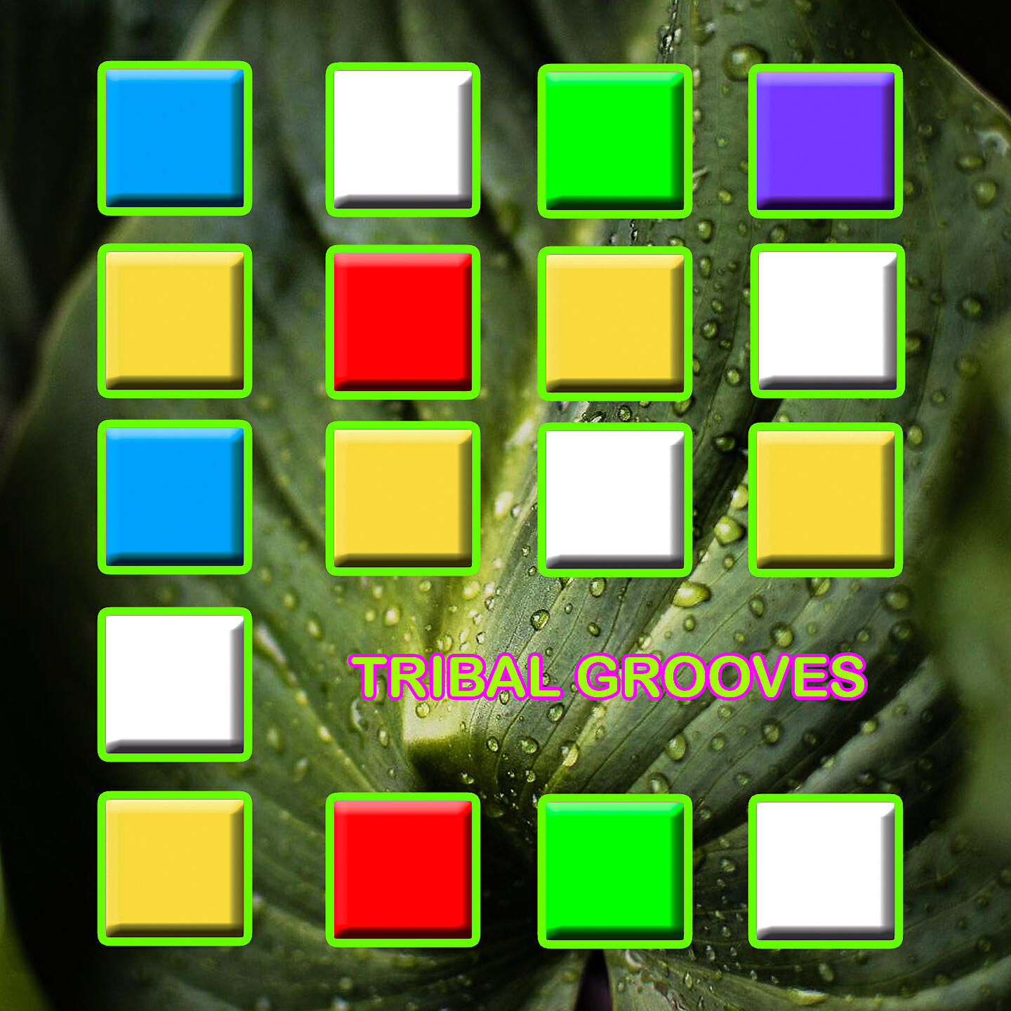 Релиз Tribal Grooves