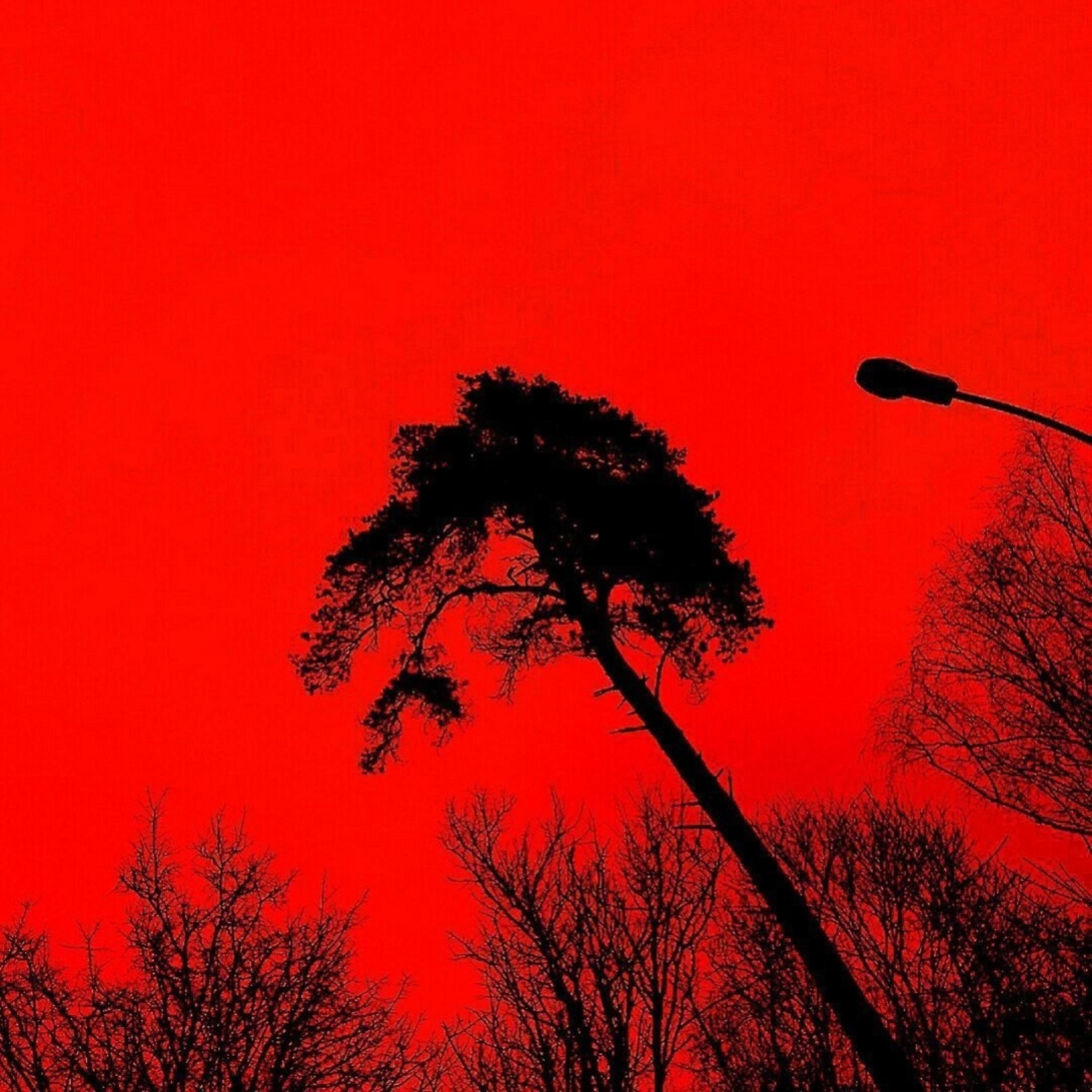 Релиз Red Tree Mixtape A