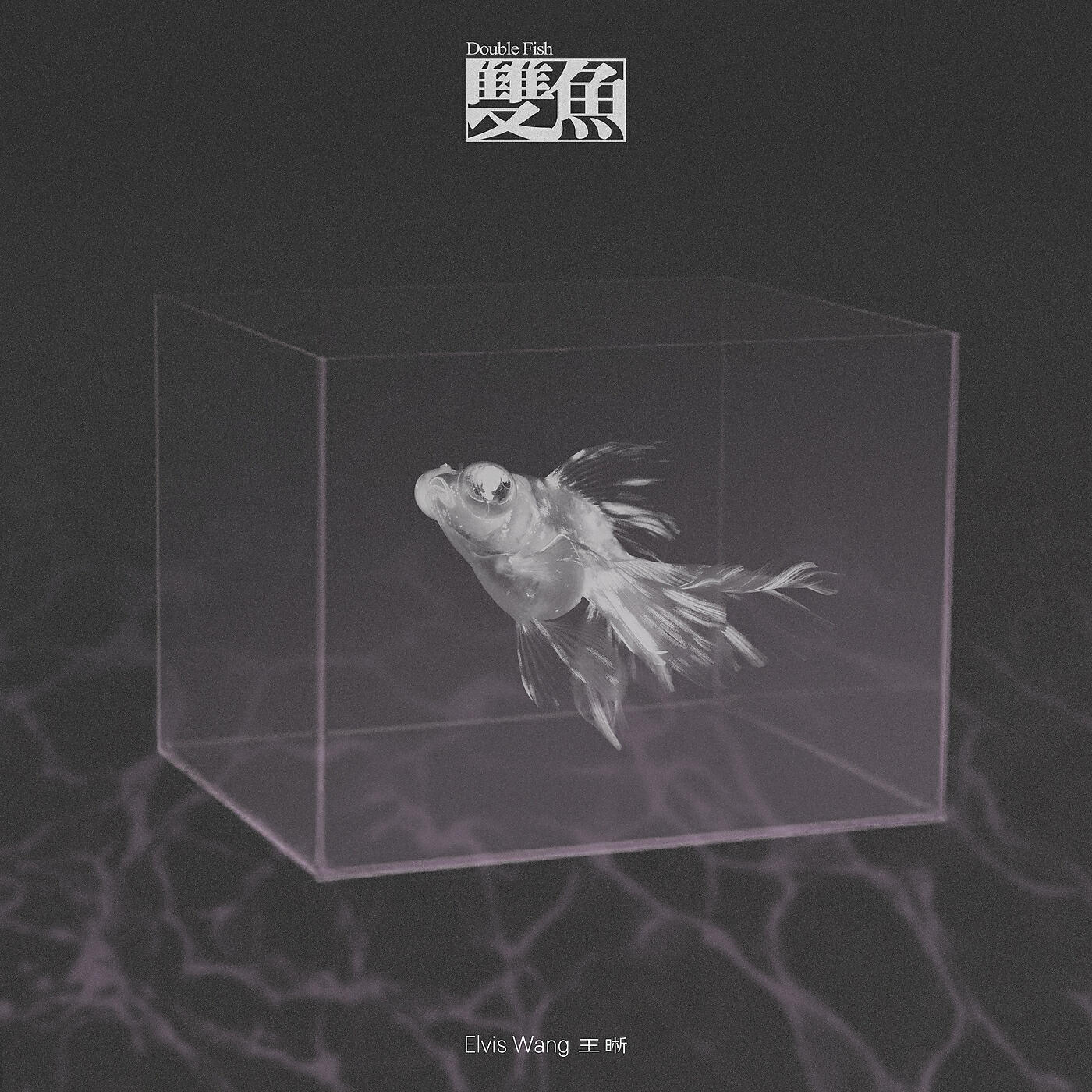 Релиз Double Fish
