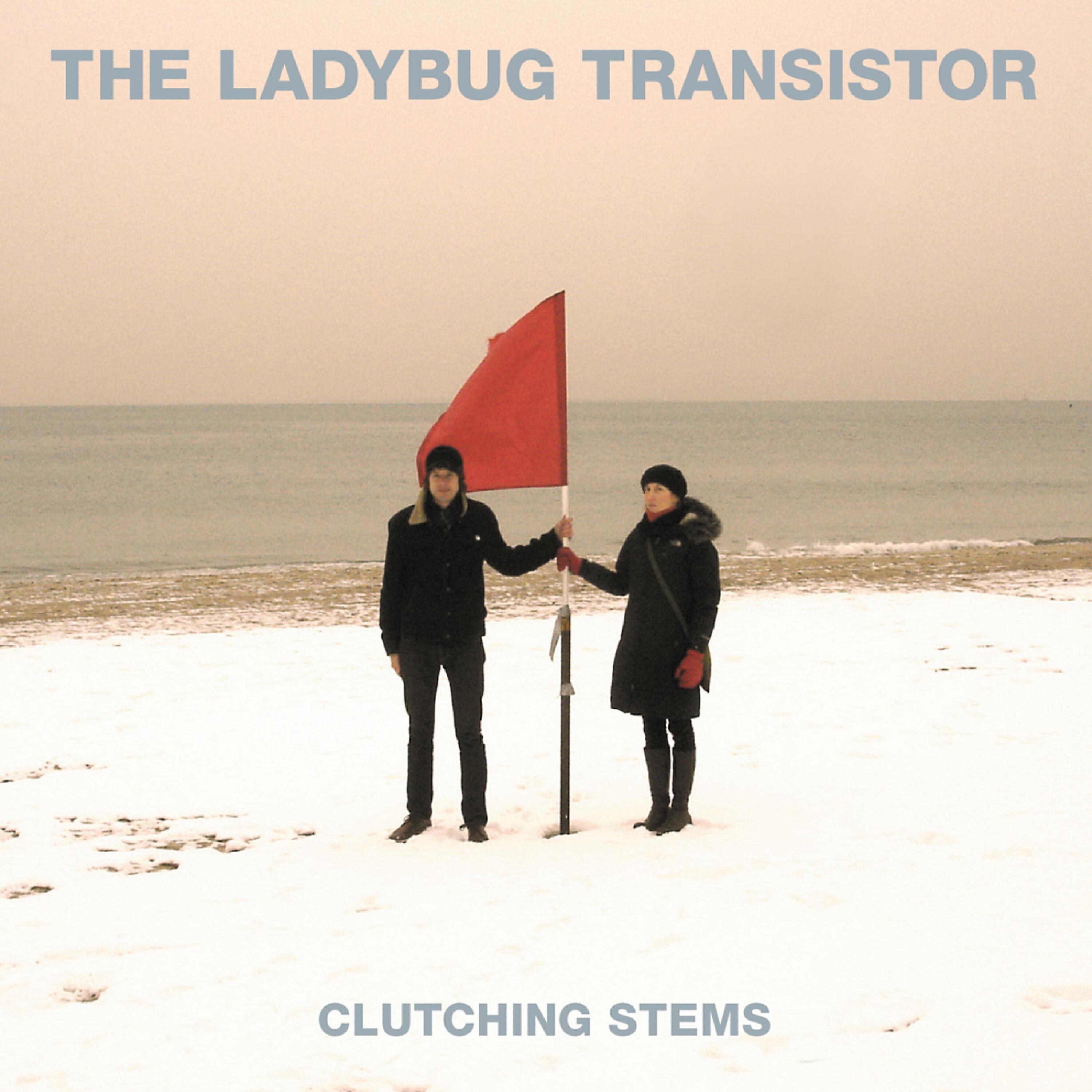 Lady Bug Transistor