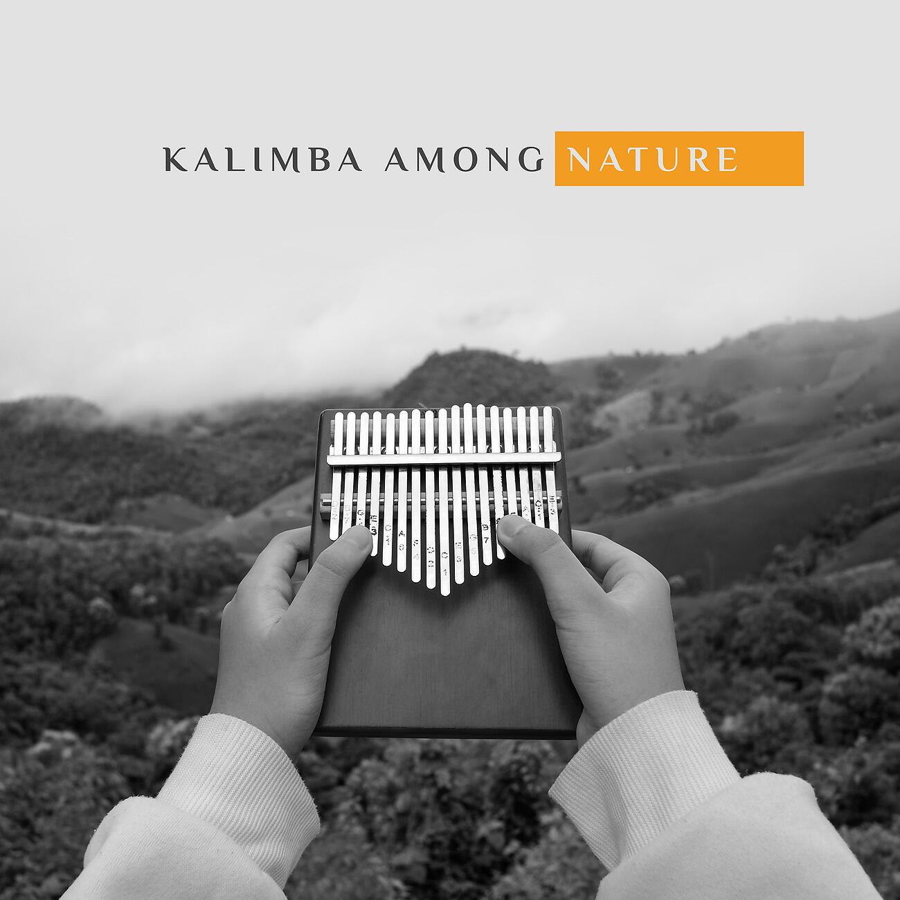 Релиз Kalimba Among Nature