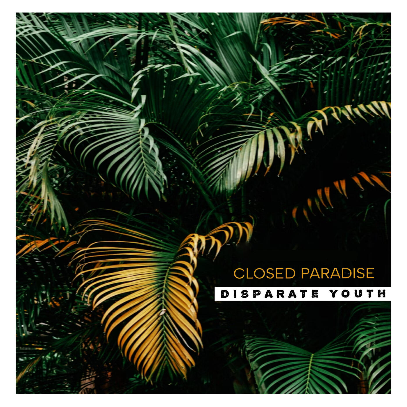 Релиз Disparate Youth