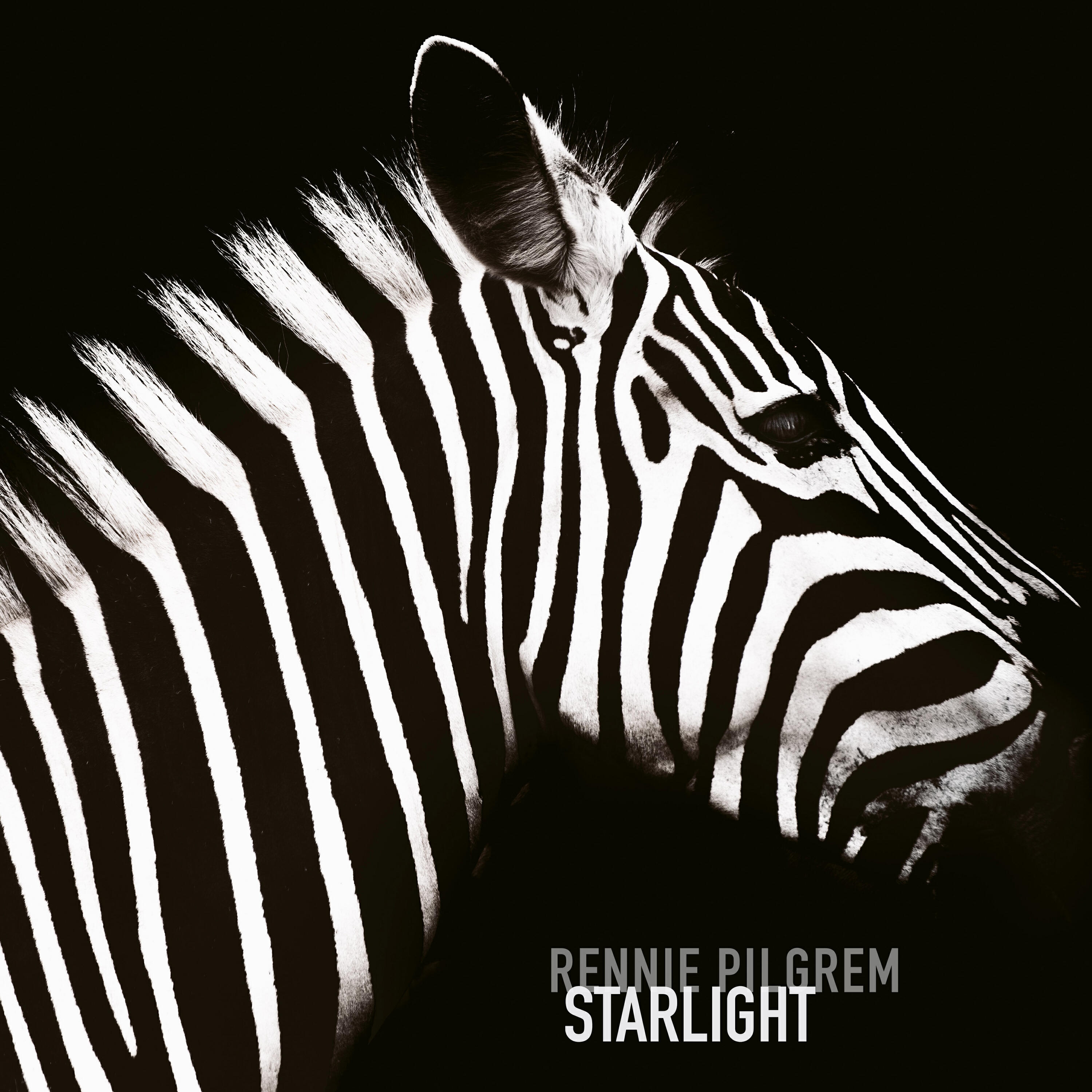 Релиз Starlight