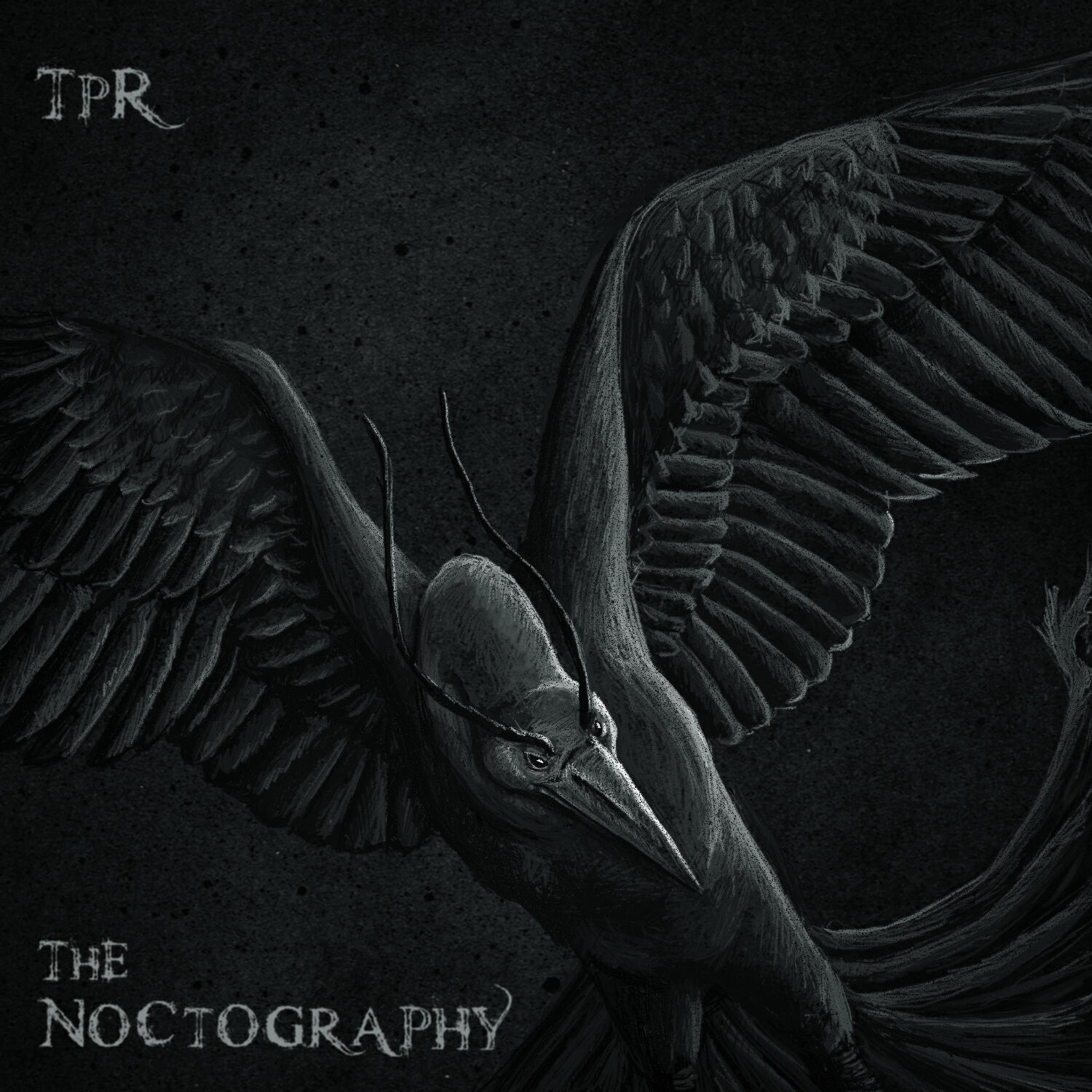 Релиз The Noctography