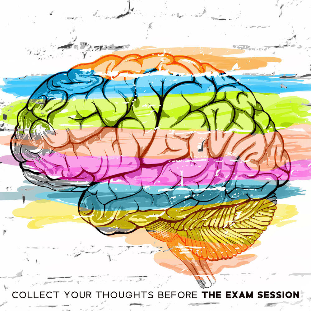 Релиз Collect Your Thoughts Before the Exam Session - Focus on Learning to the Soft Sounds of the Piano