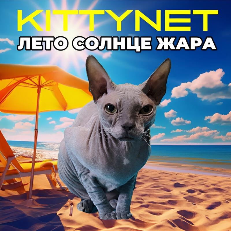 Релиз Лето солнце жара