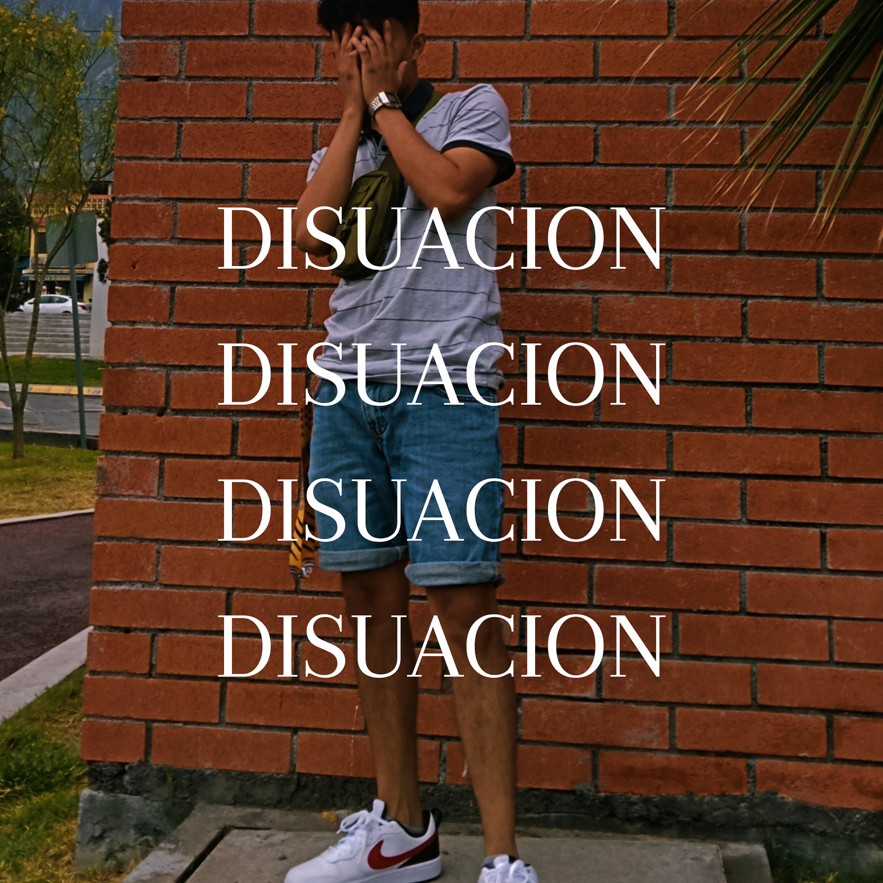 Релиз Disuacion