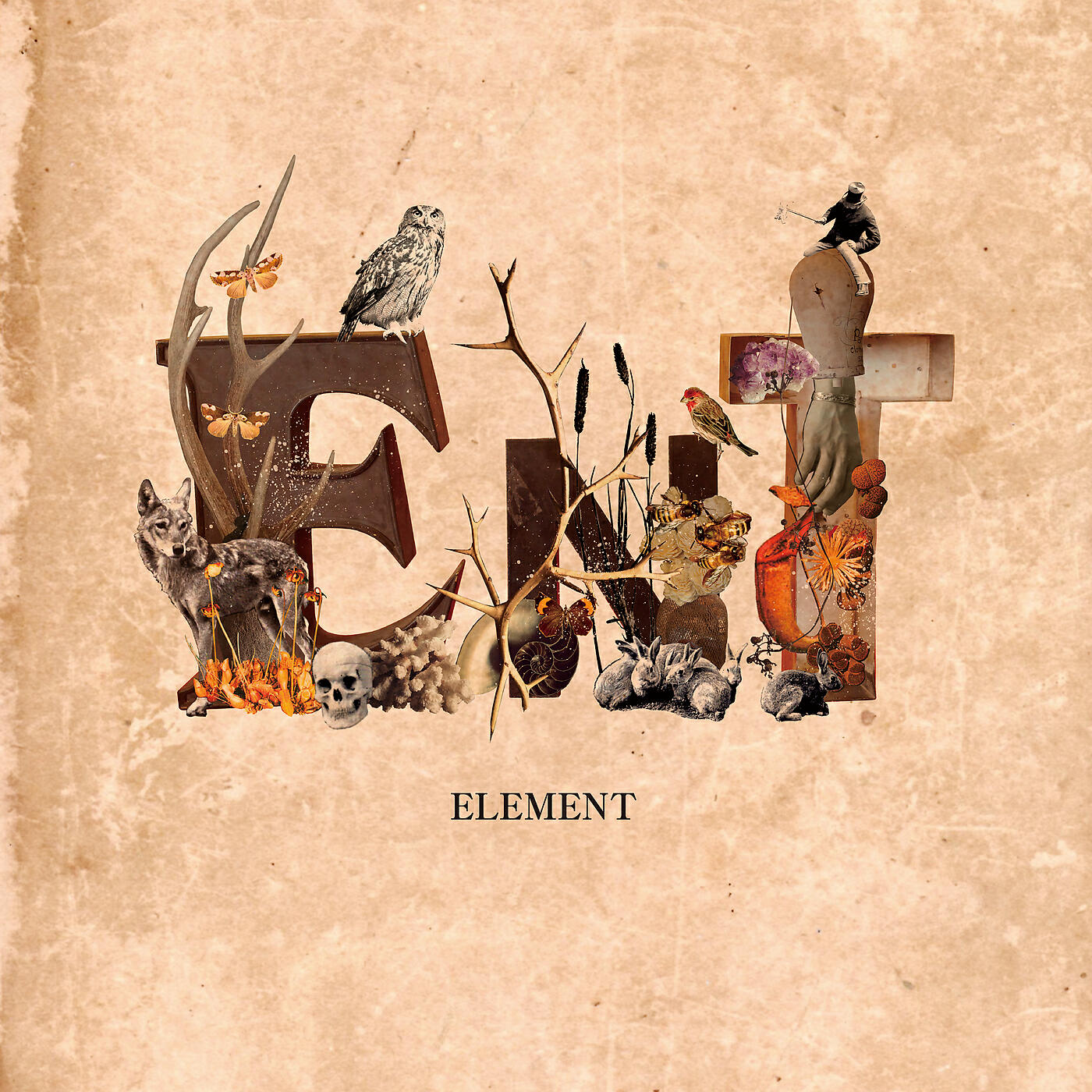 Релиз Element