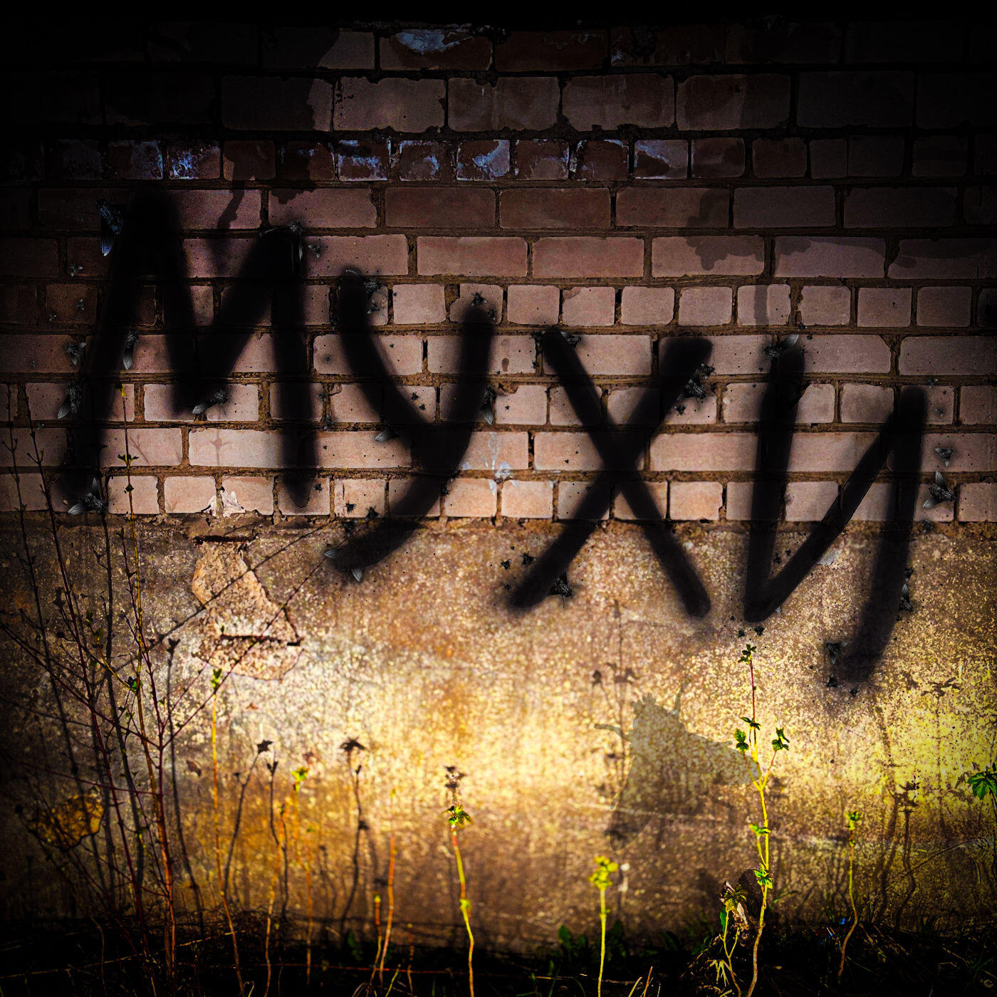 Релиз Мухи