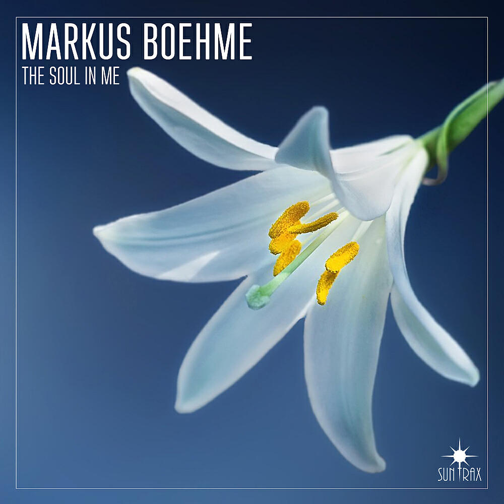 Релиз The Soul In Me