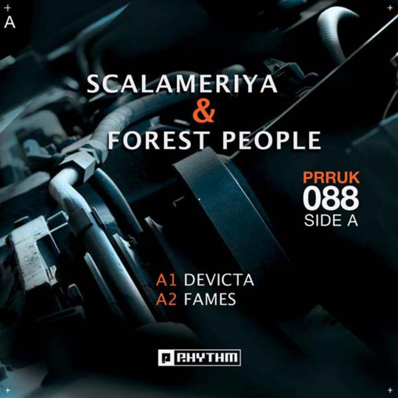 Scalameriya & Forest People
