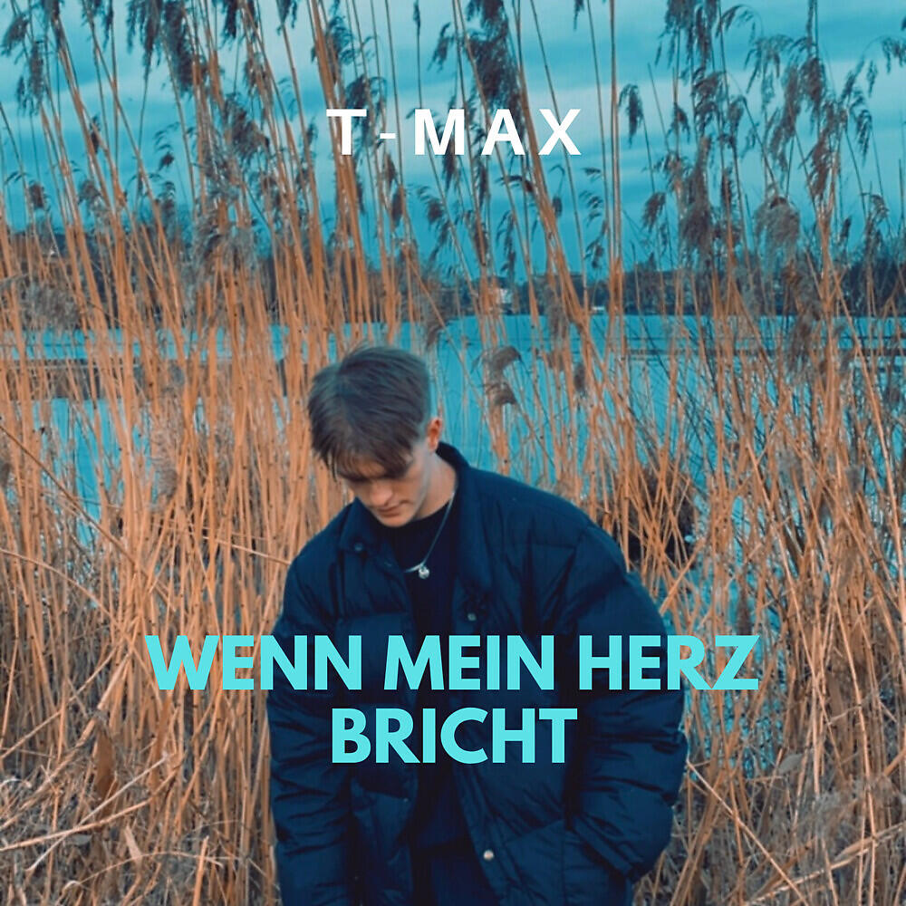 Релиз Wenn mein Herz bricht