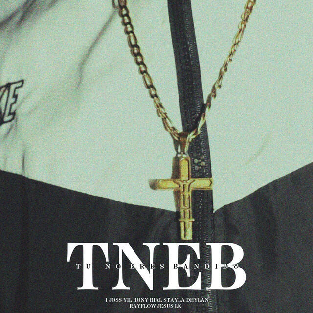 Релиз TNEB