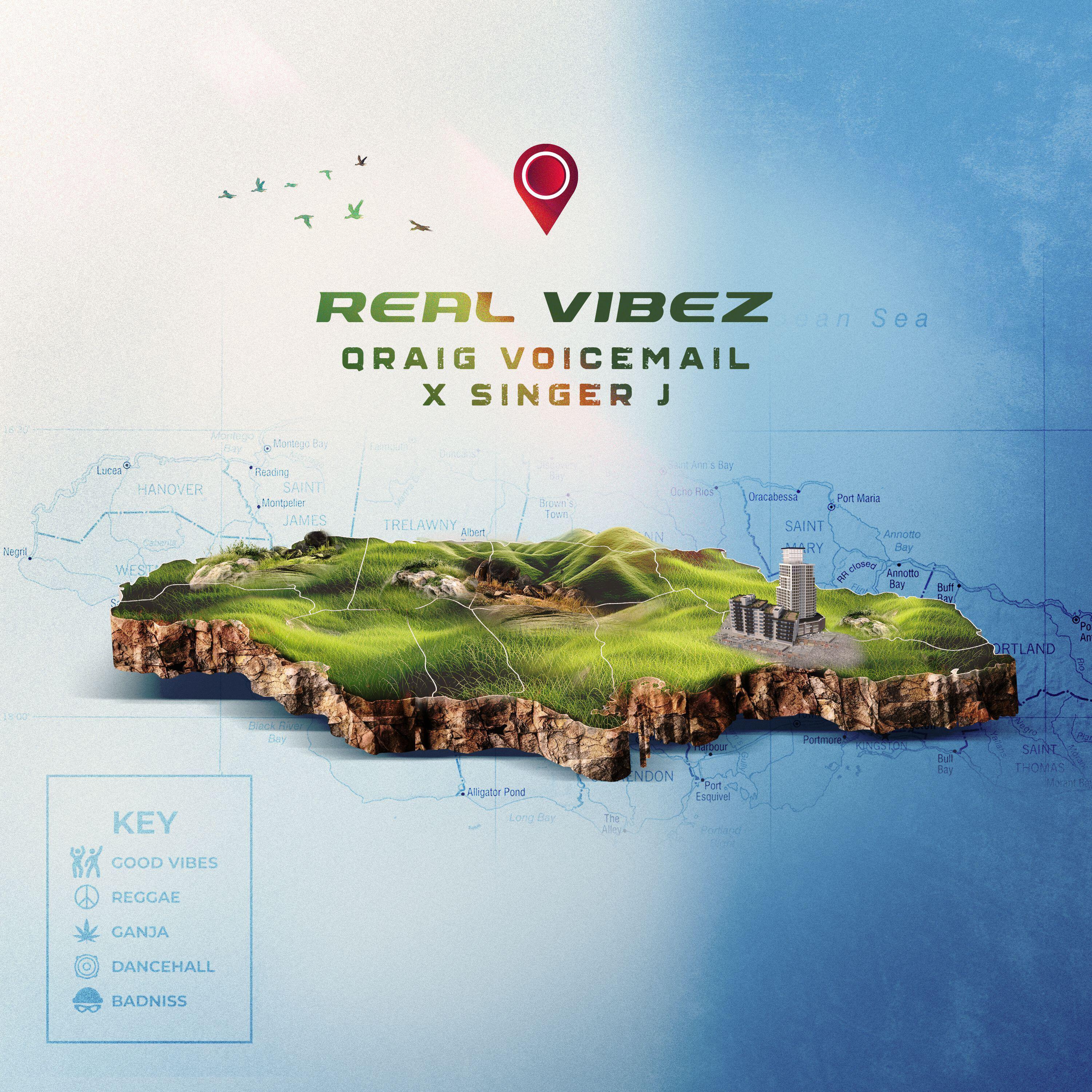 Релиз Real Vibez