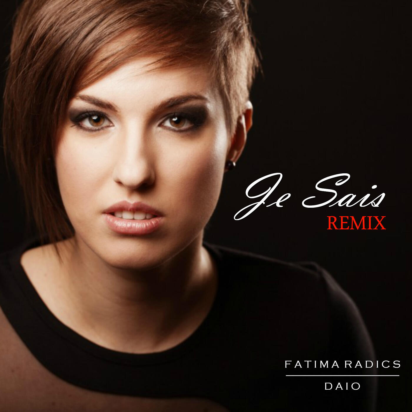 Релиз Je Sais (Remix)