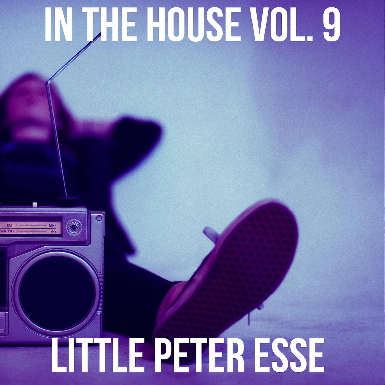 Релиз In The House Vol. 9