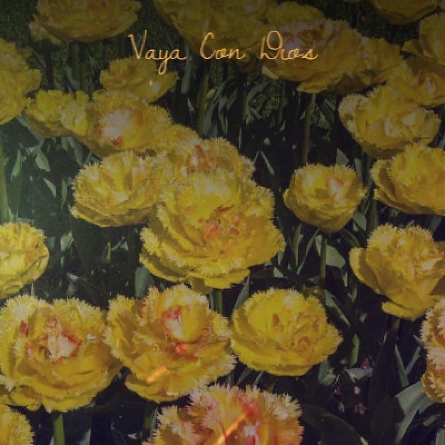 Релиз Vaya Con Dios