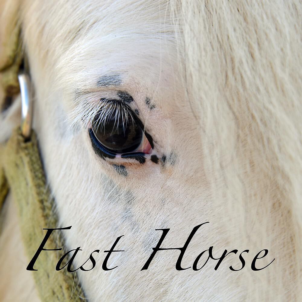 Релиз Fast Horse
