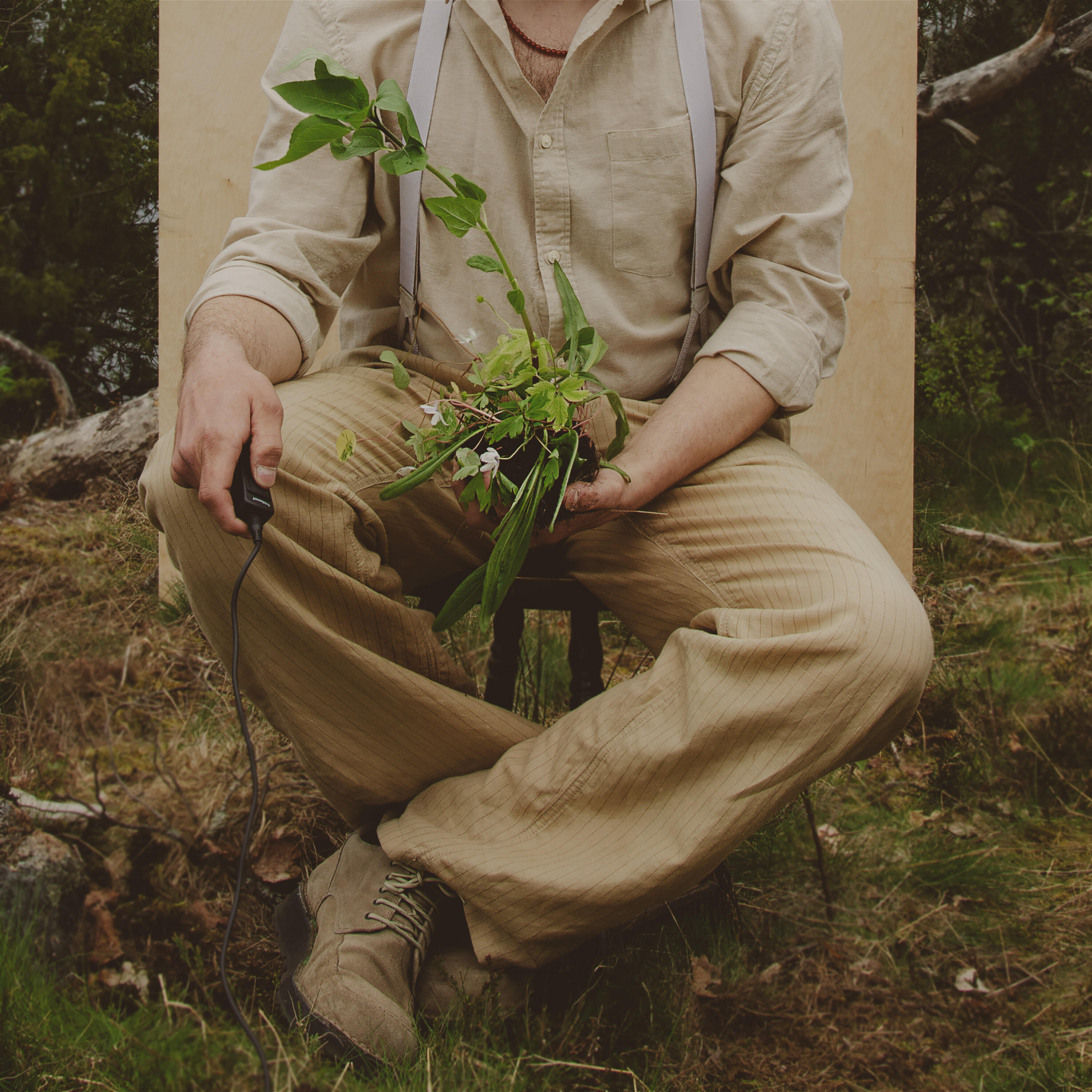 Релиз Blommor